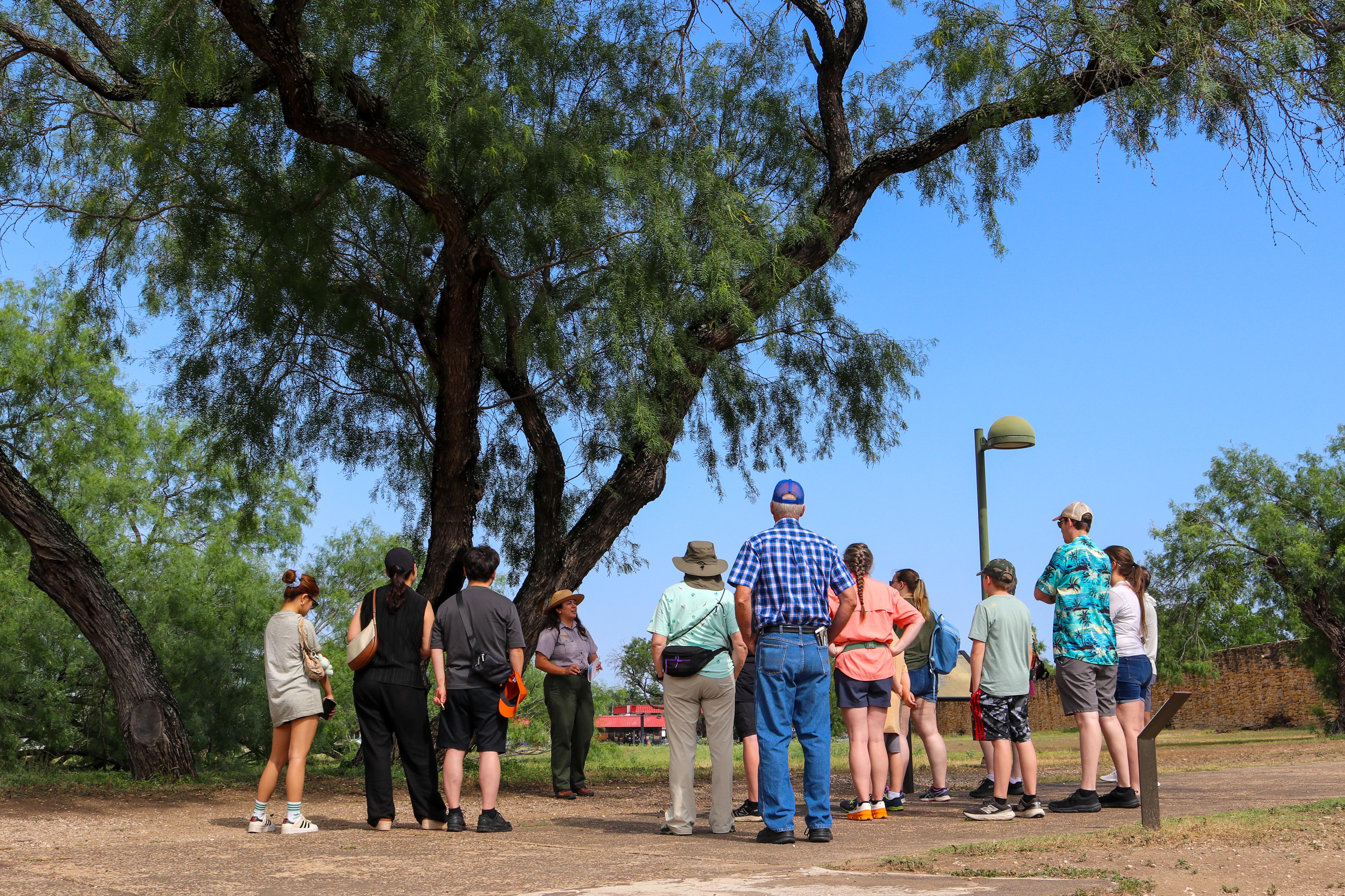 Park Ranger begins a tour through Mission San José under a large mesquite tree