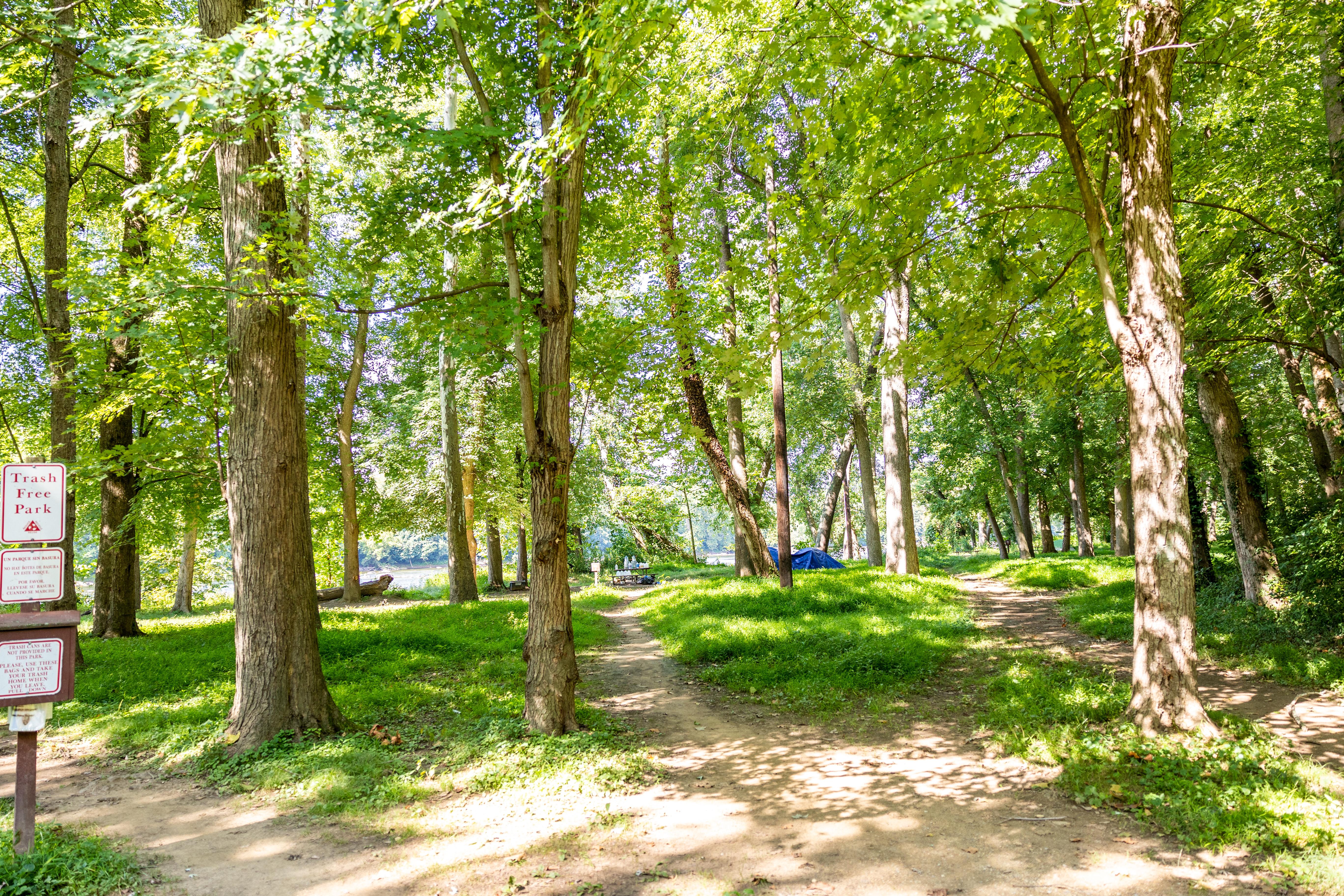 Swains Lock Hiker-Biker Campsite