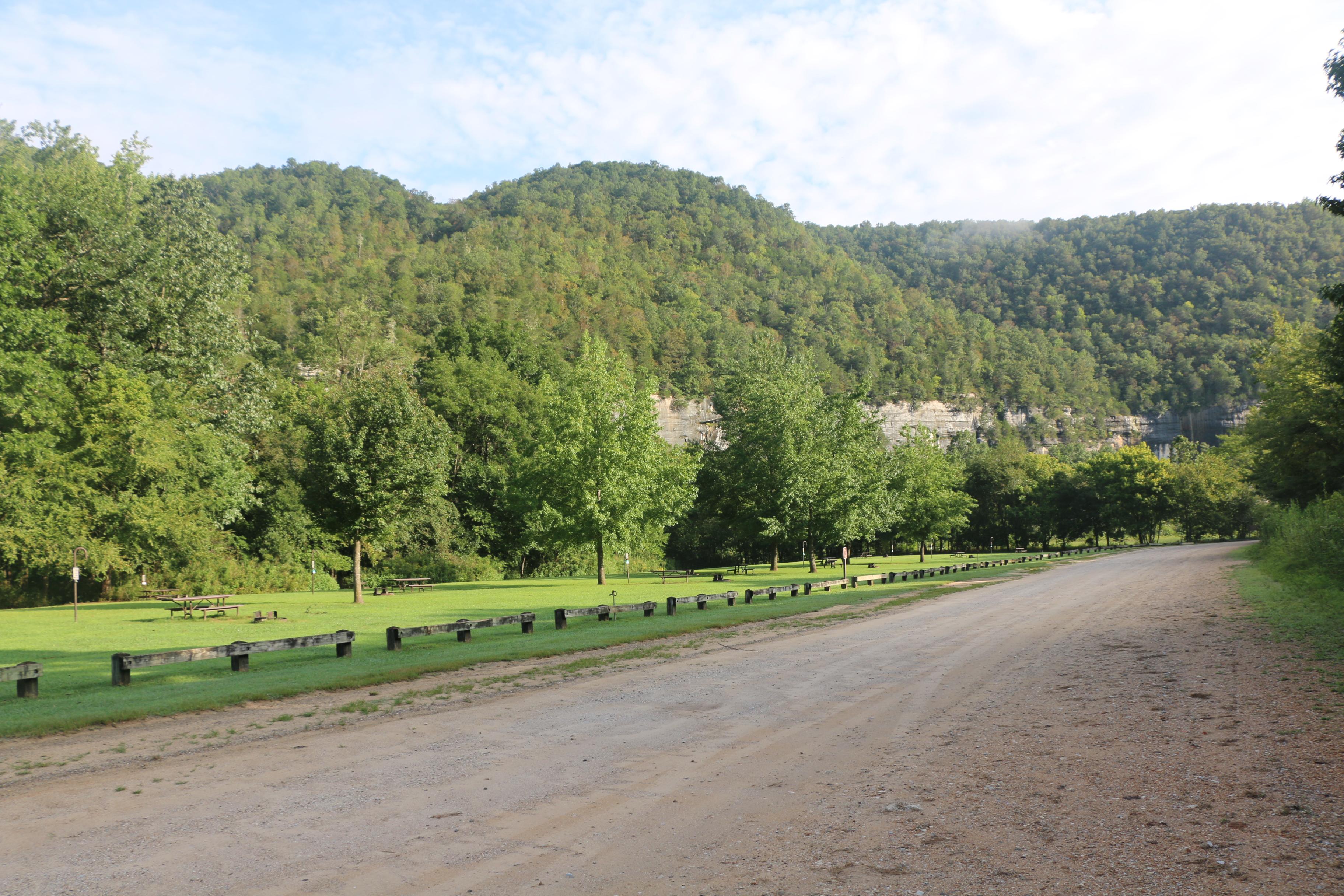 Shade trees and picnic tables dot the grass at the Steel Creek Campground.