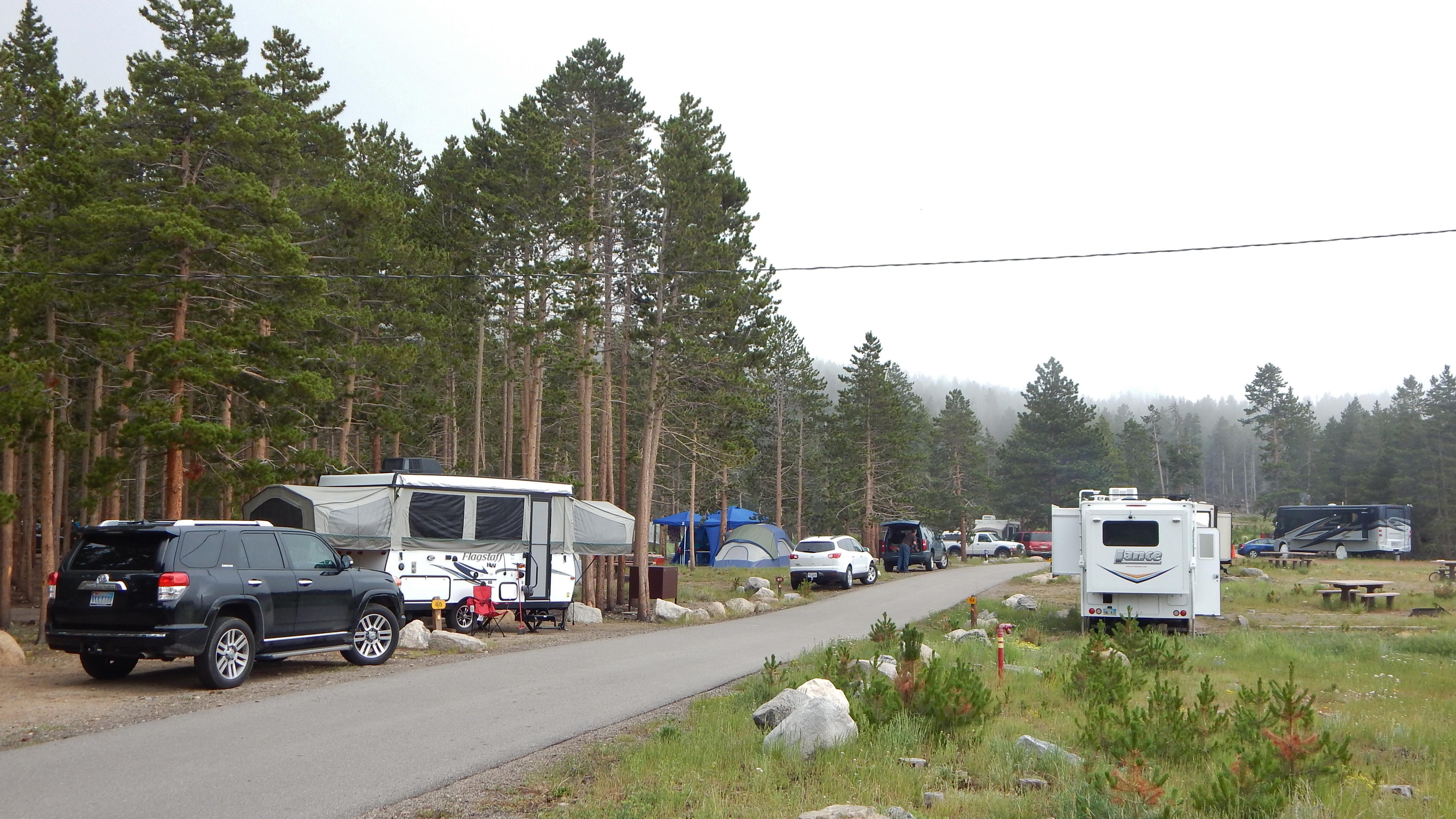 RVs are parking in camp sites in Glacier Basin Campground