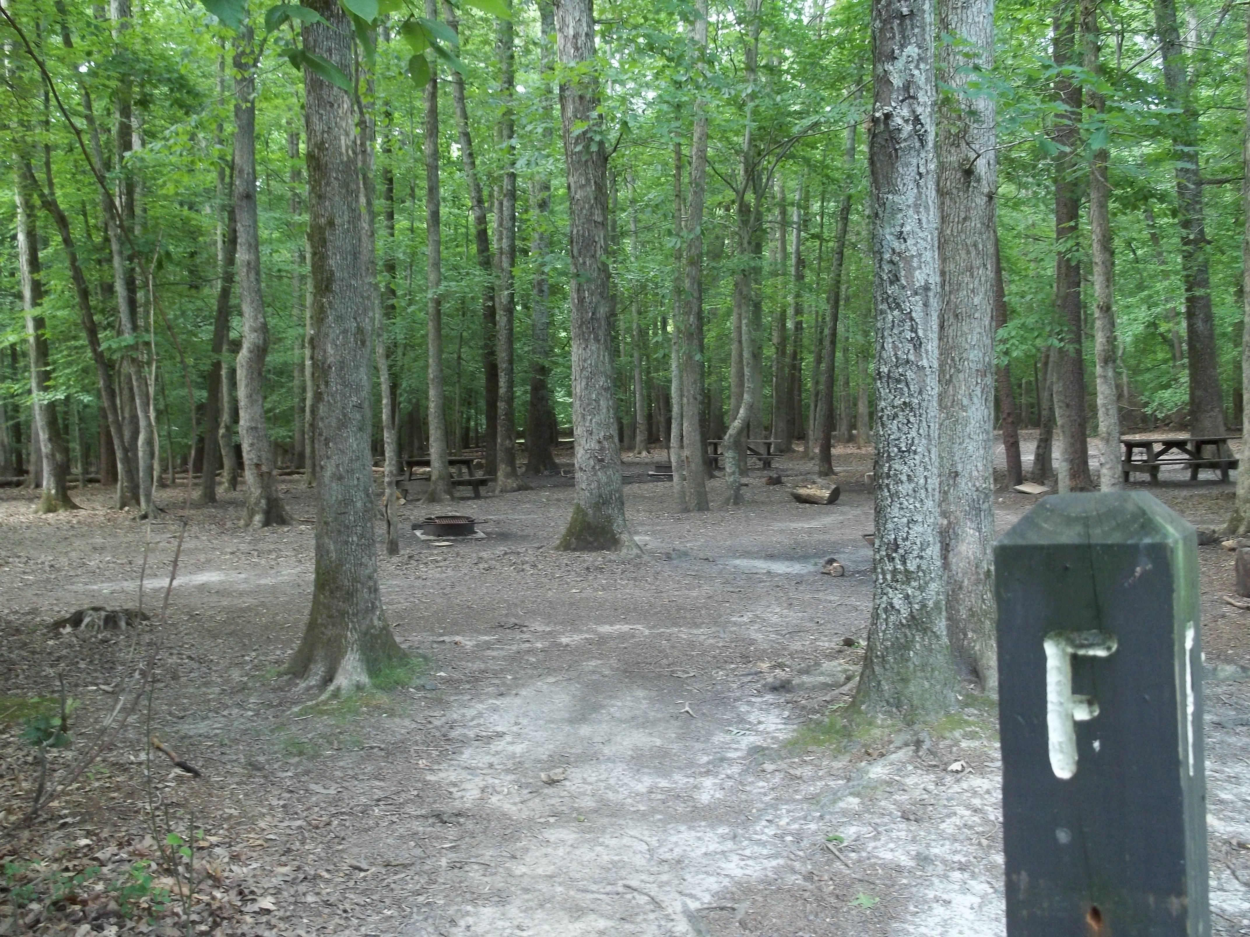 Wooden Post reading F with scatted picnic tables and fire ring on bare ground under green trees