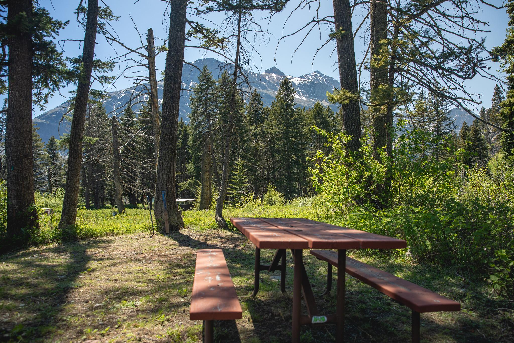 A picnic table sits on level ground with trees and mountains in the background.