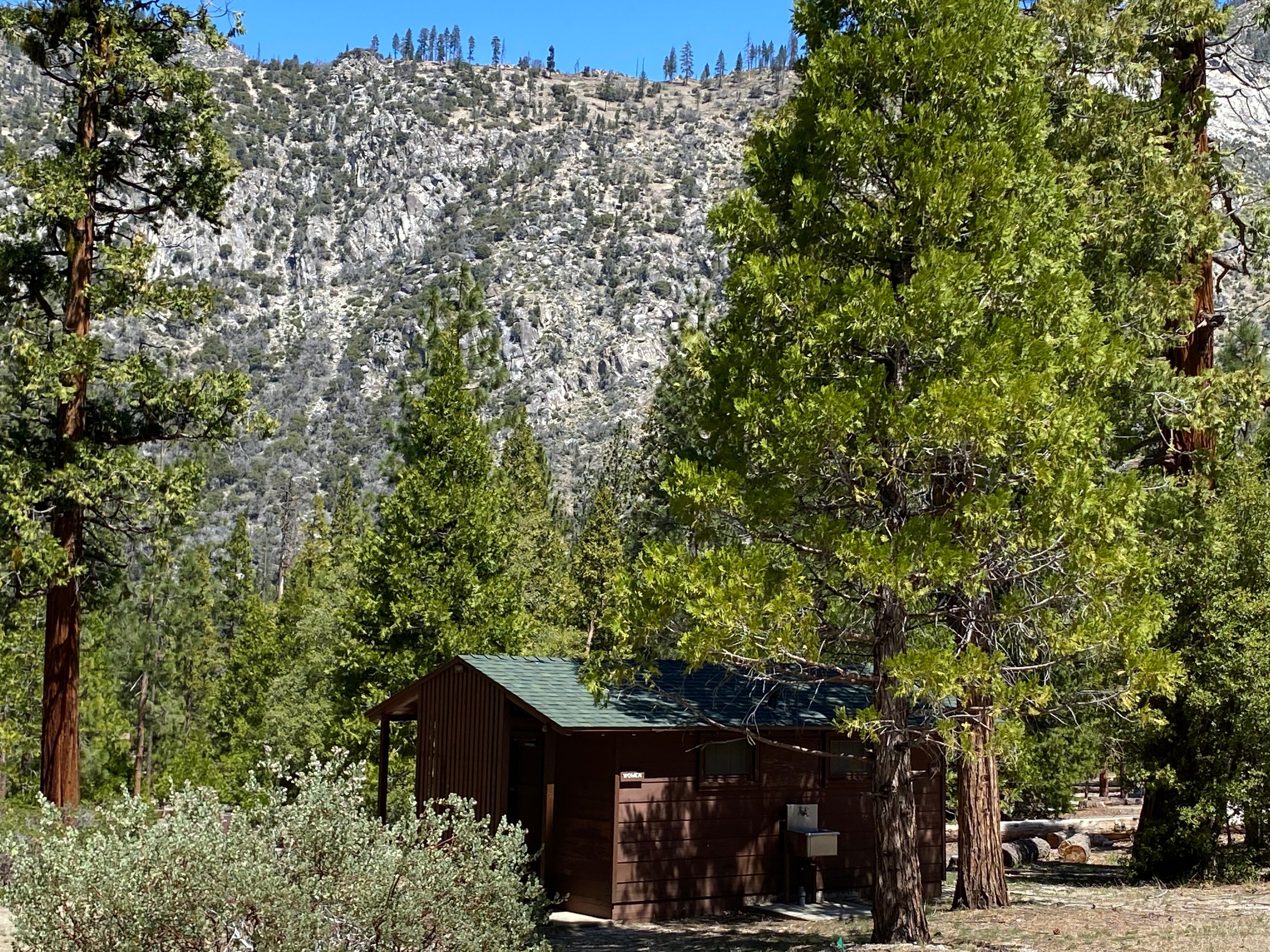 A brown woodsided-restroomwith a green roof is nestled among fir trees.