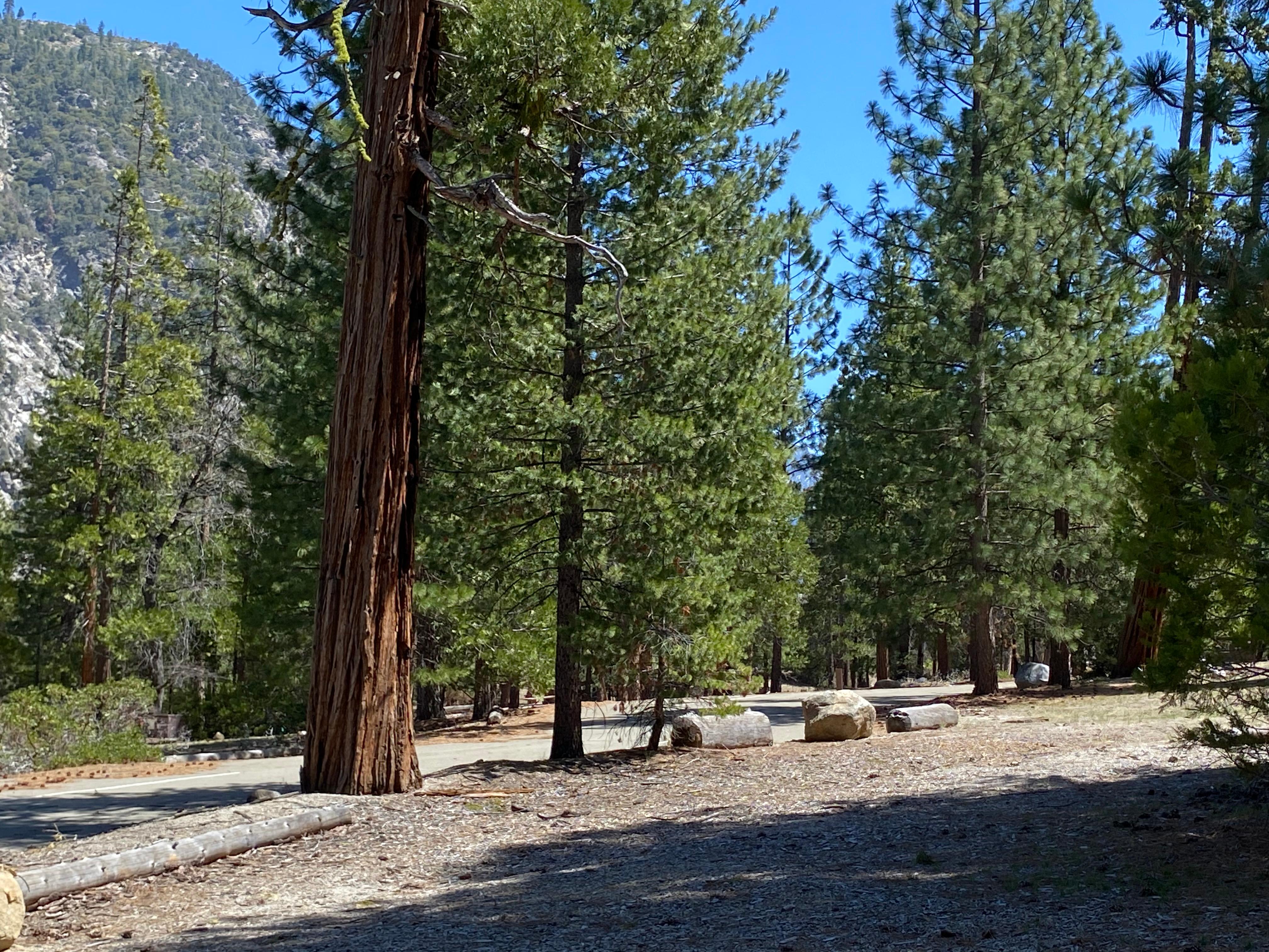 A paved road traverses a forested area.