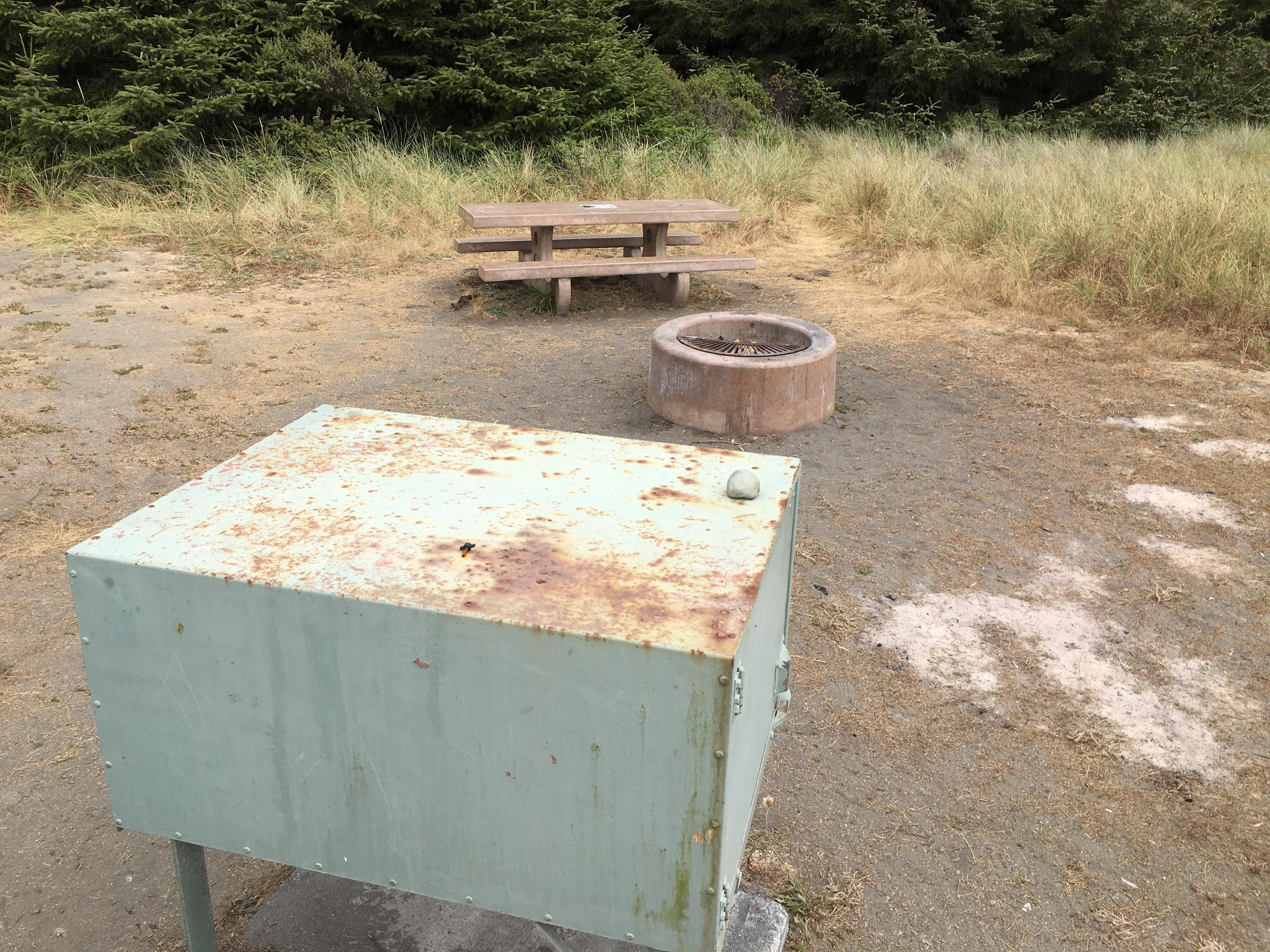 Metal food storage locker, campfire ring and picnic table.