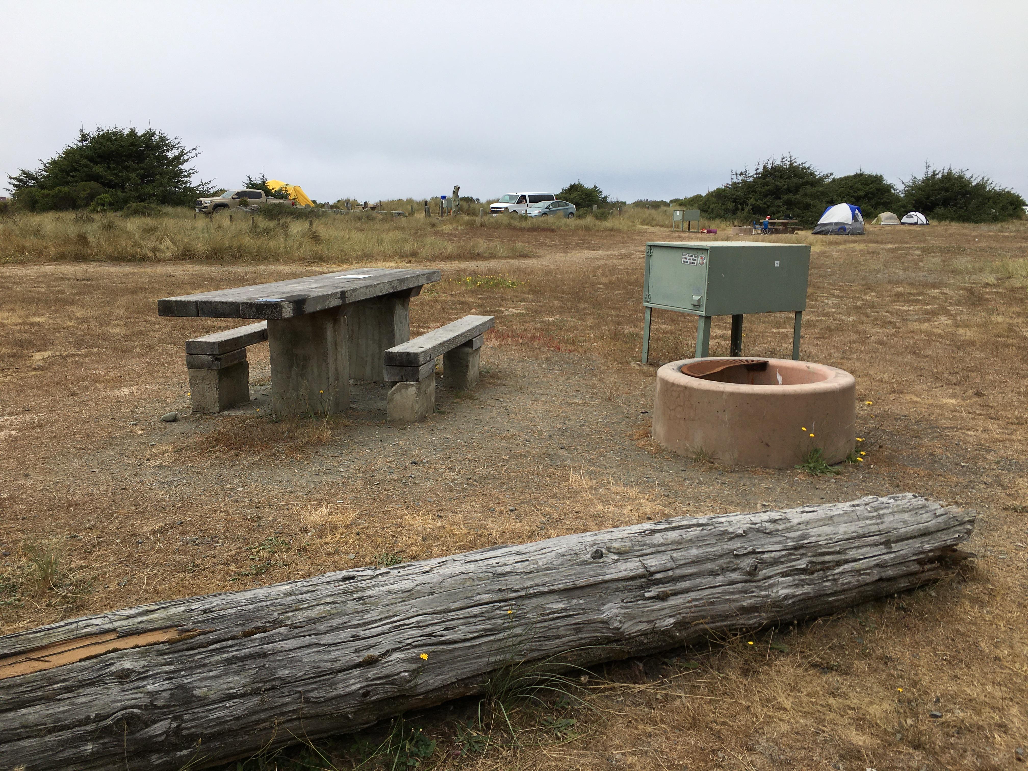 Picnic table, fire ring and food locker