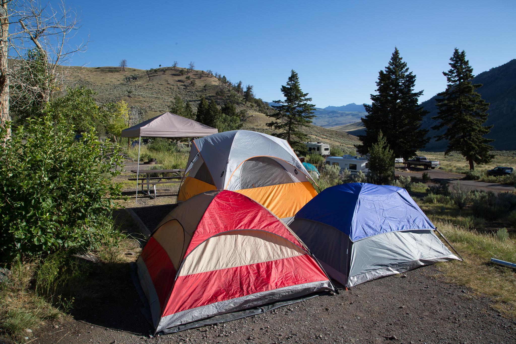 Tents pitched at the Mammoth Hot Springs Campground