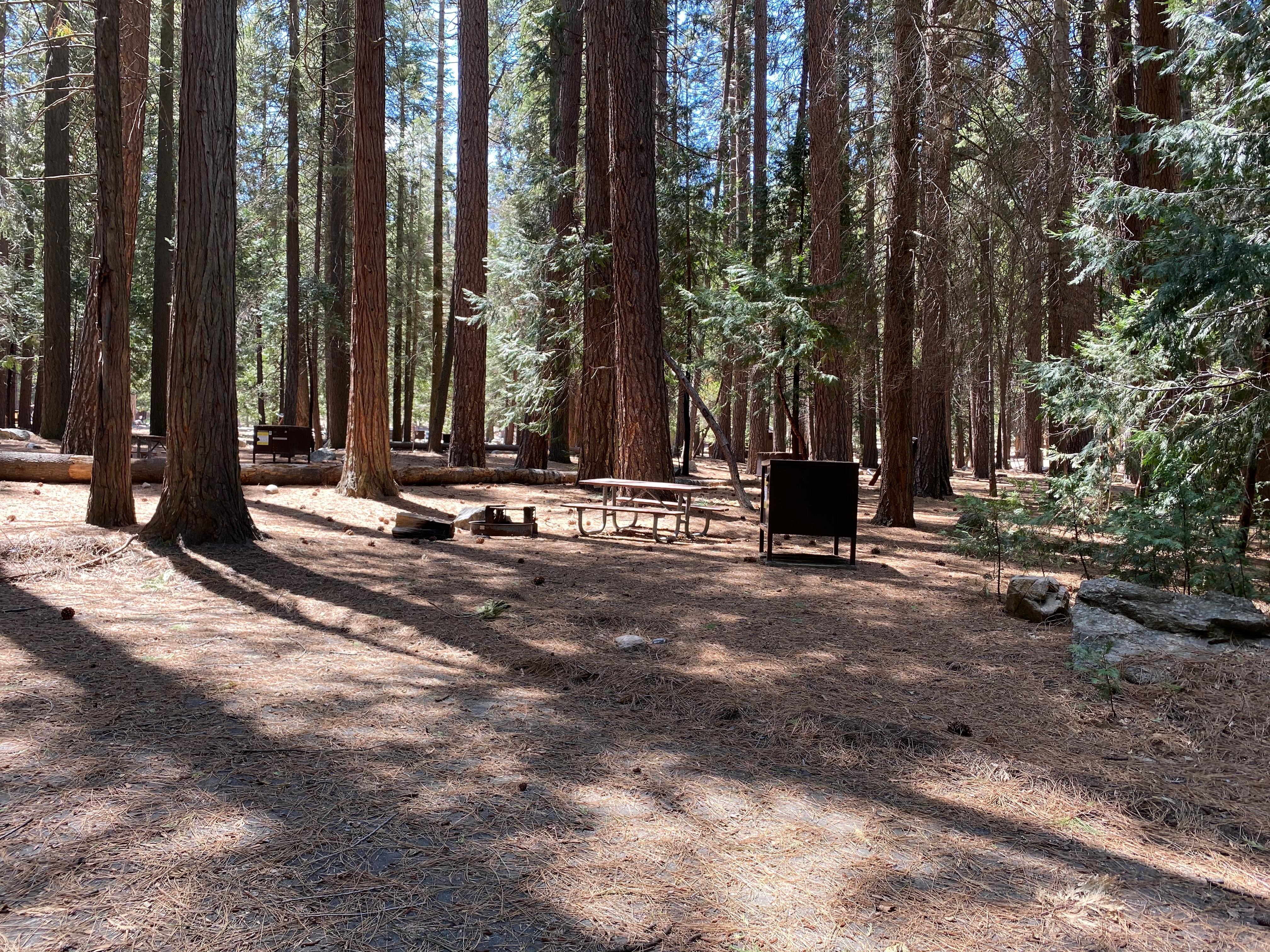 A campsite features a food storage box, picnic table, and a fire grate/grill.