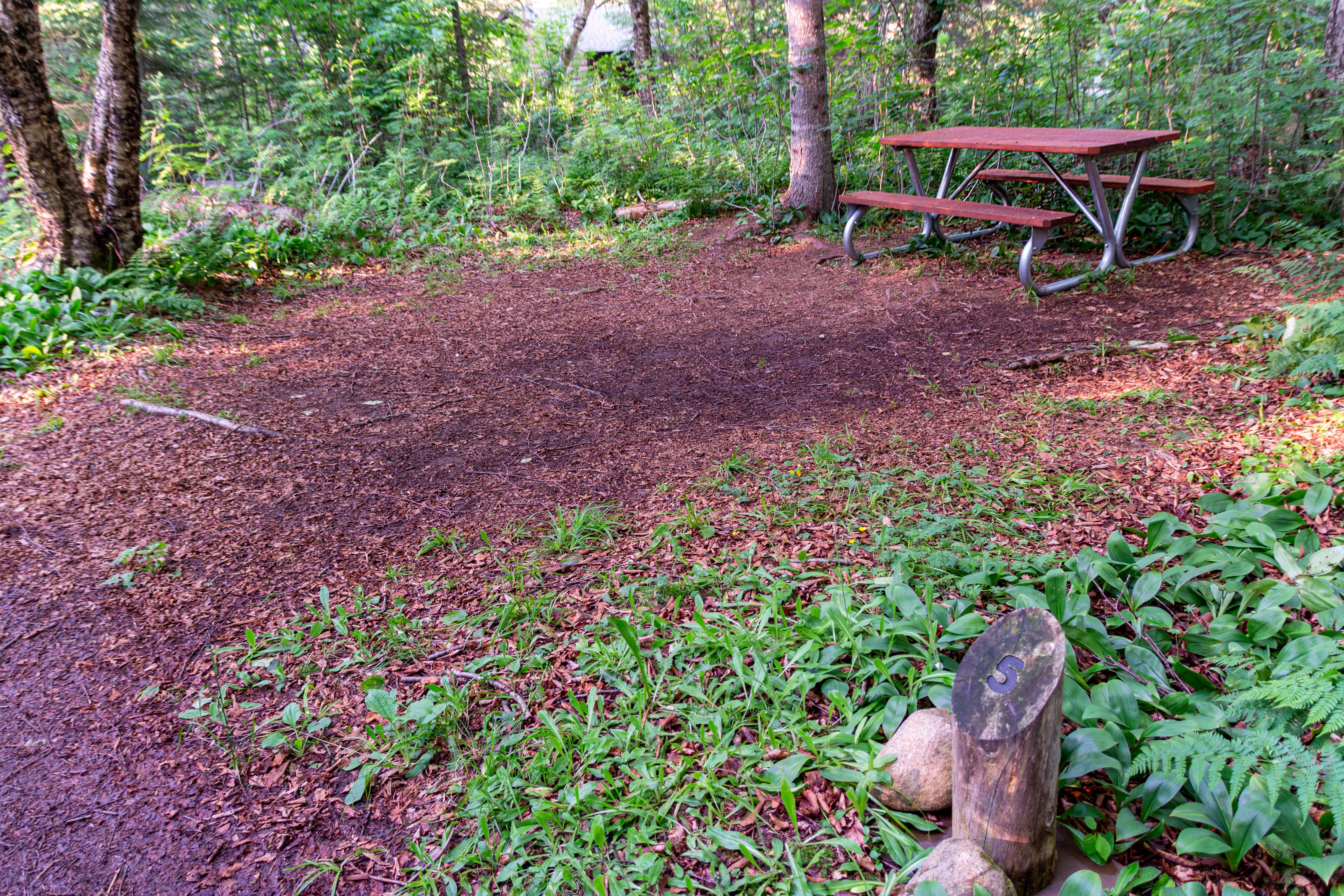 Tent campsite; sign post with bare patch of ground and picnic table surrounded by trees.ounded by tr