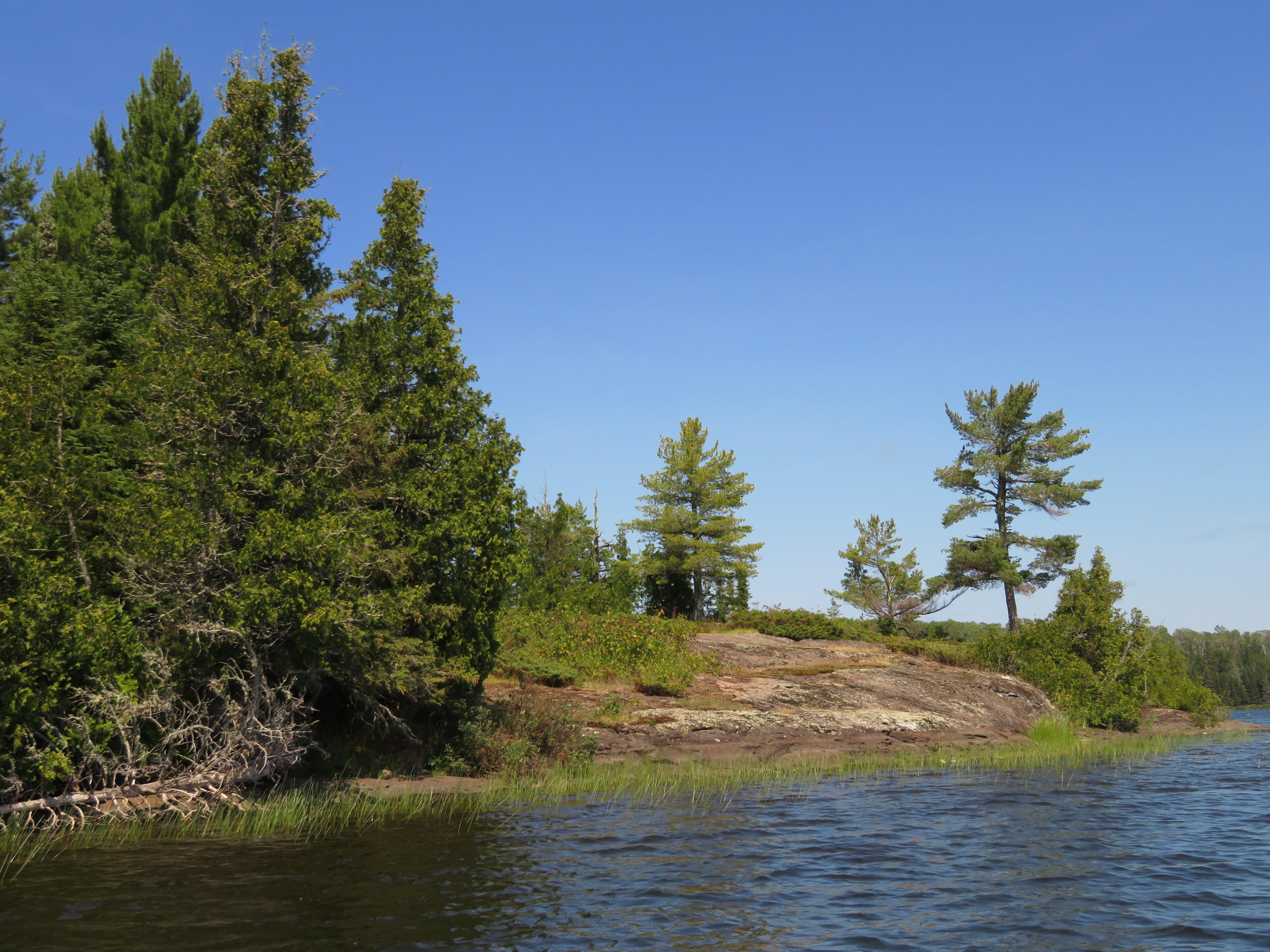 From the water, a view of the shoreline with evergreen trees, bare rock, and blue sky.