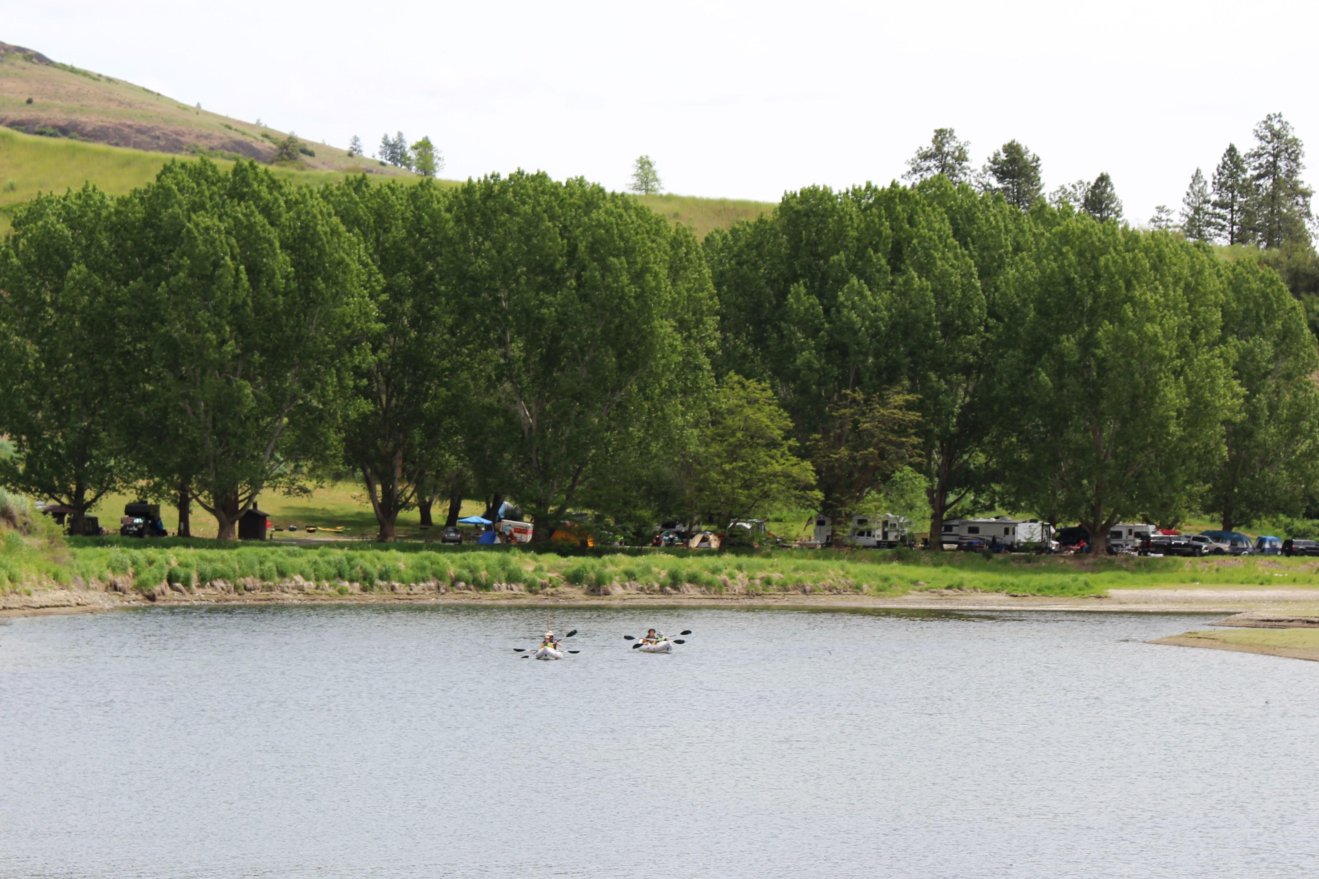 Kayakers in the water with a campground near the background shoreline.