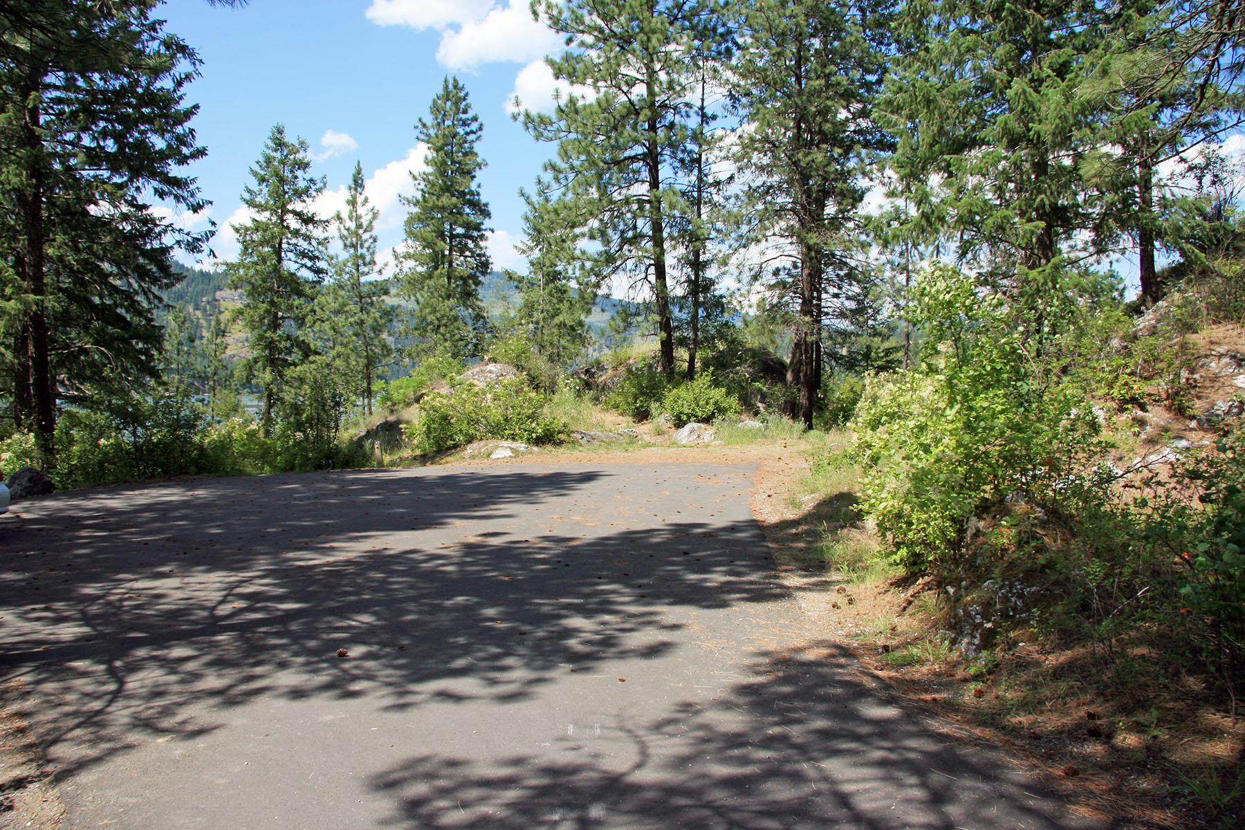 a small paved parking lot in a grove of pine trees