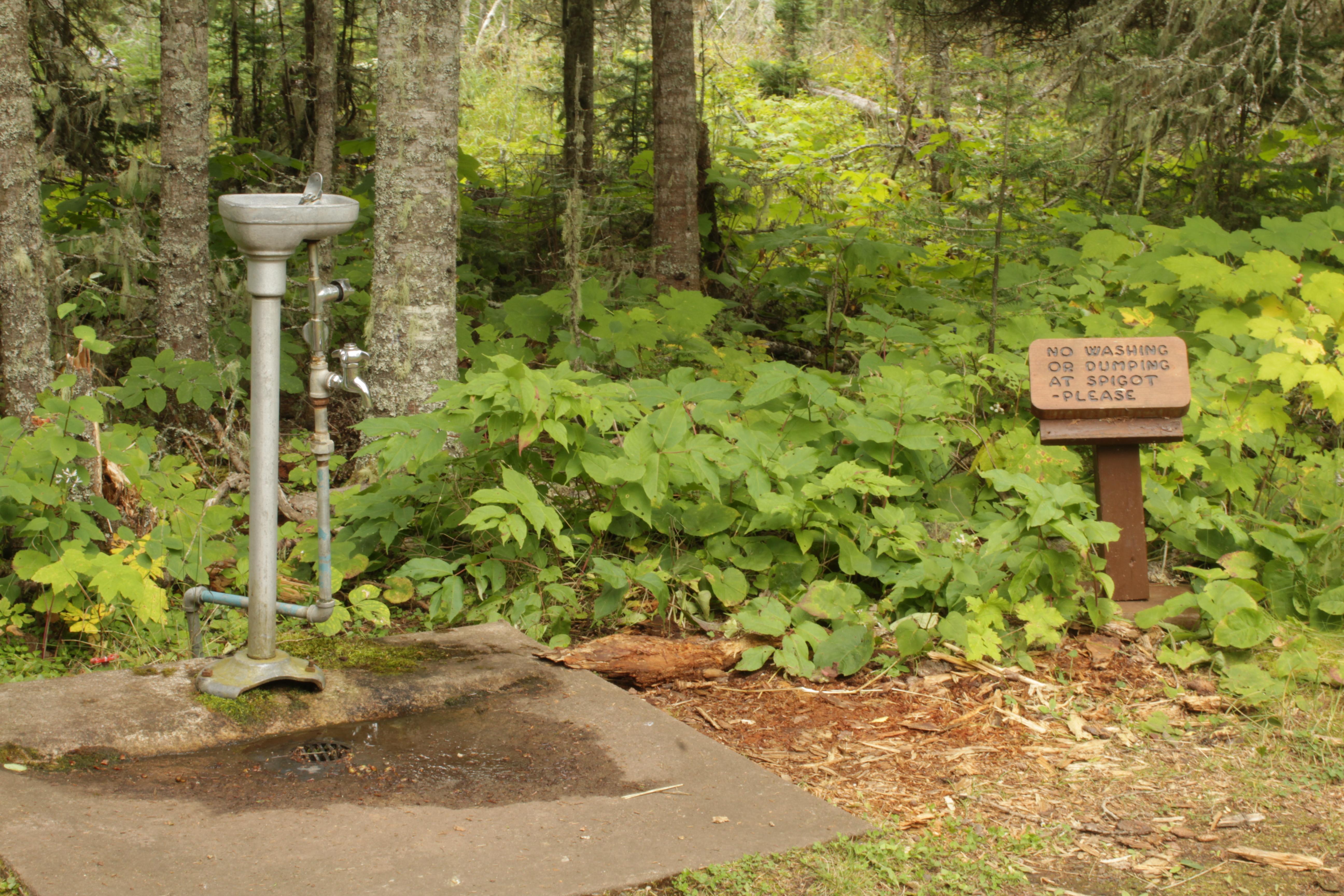 Water spigot and faucet in the woods.