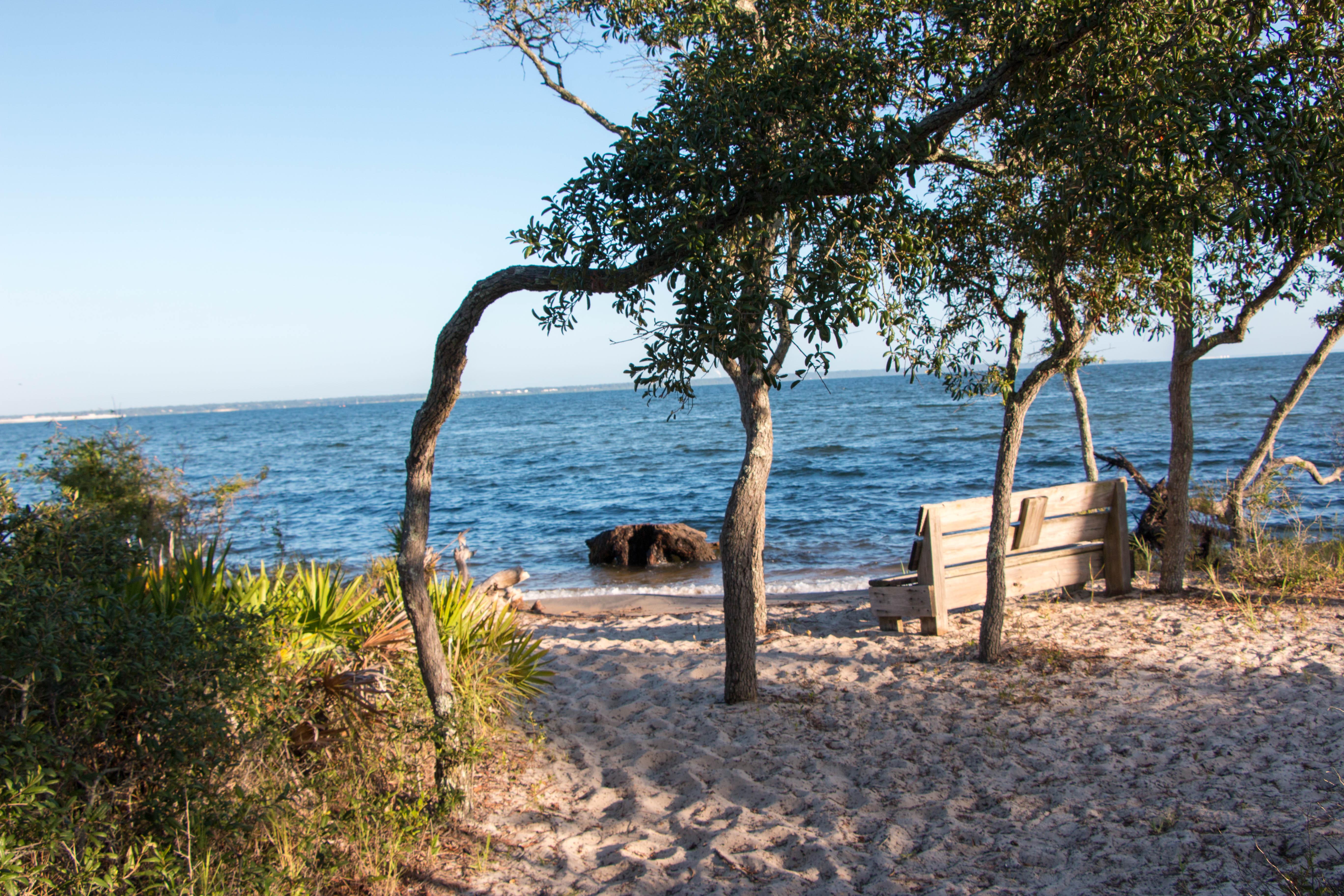 A wooden bench sets below trees at the edge of the water
