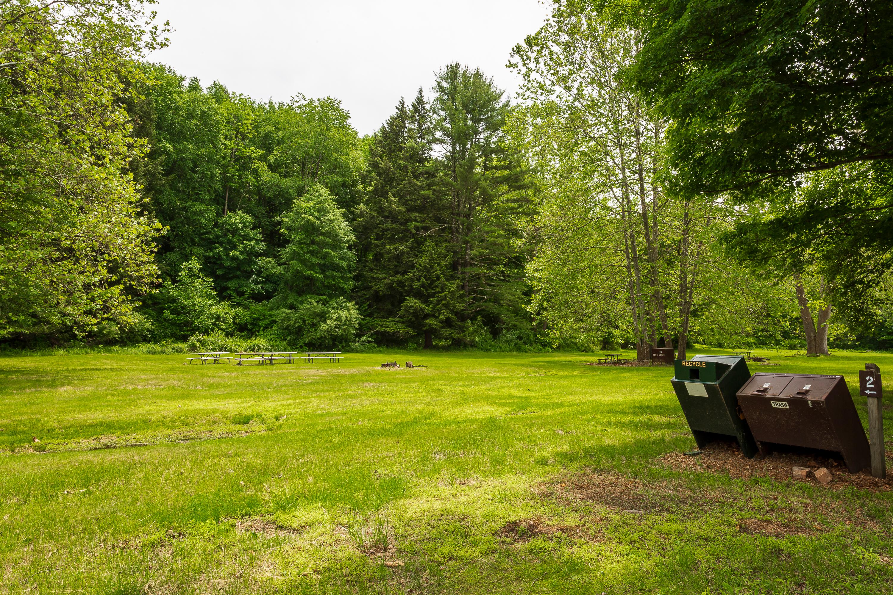 One of the group campsites showing fire pit to the front and and bear proof  trash cans to the right