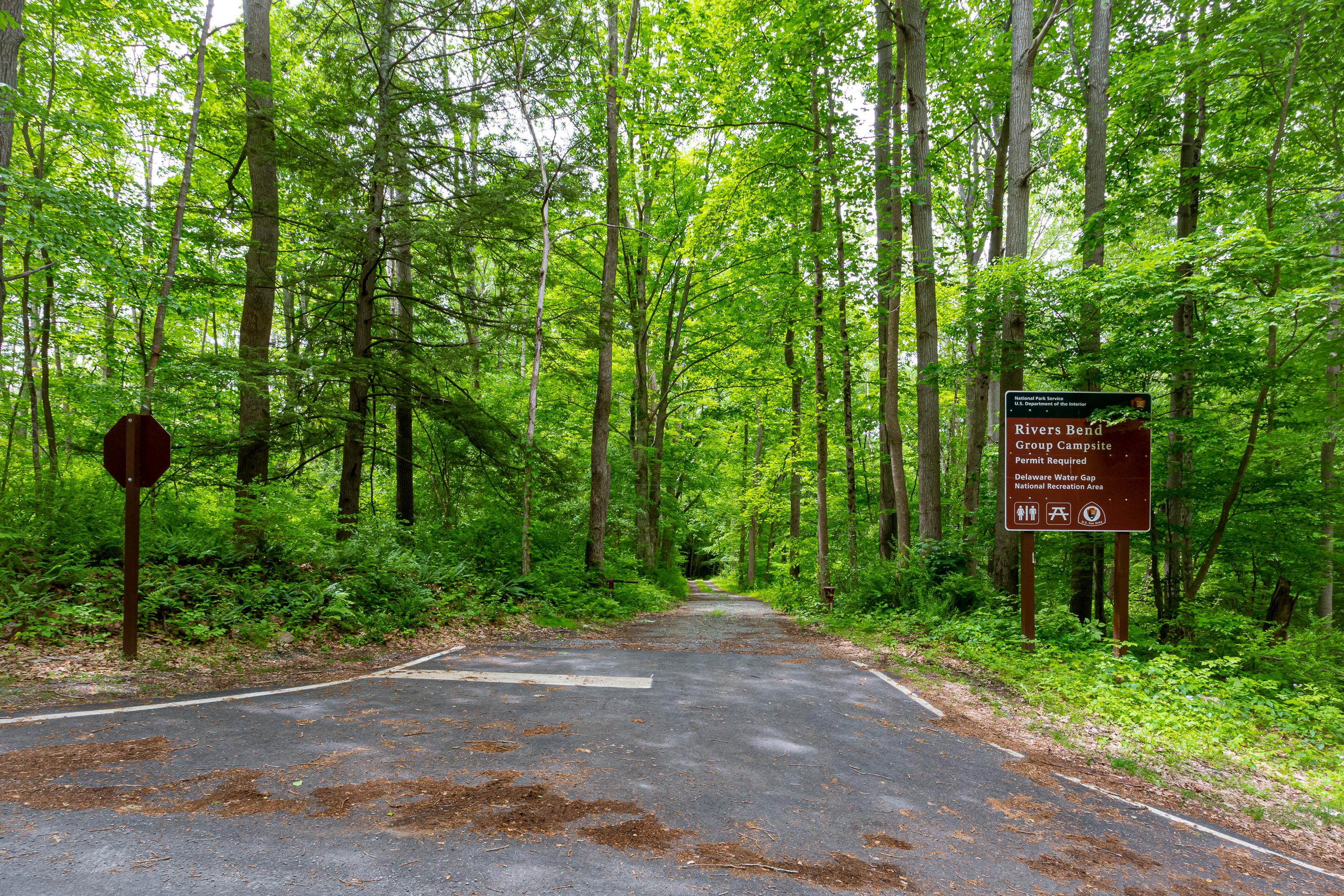 The entrance of Rivers Bend Group Campground shows a driveway into the woods and a sign to the right
