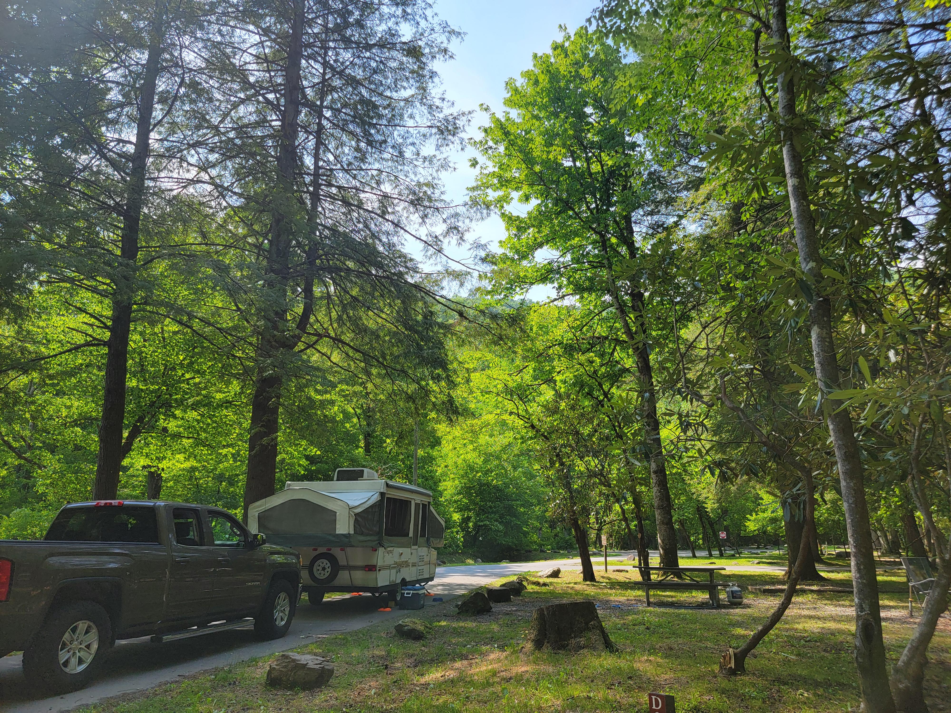 A gray pickup truck and pop up trailer in the driveway of a campsite surrounded by trees.