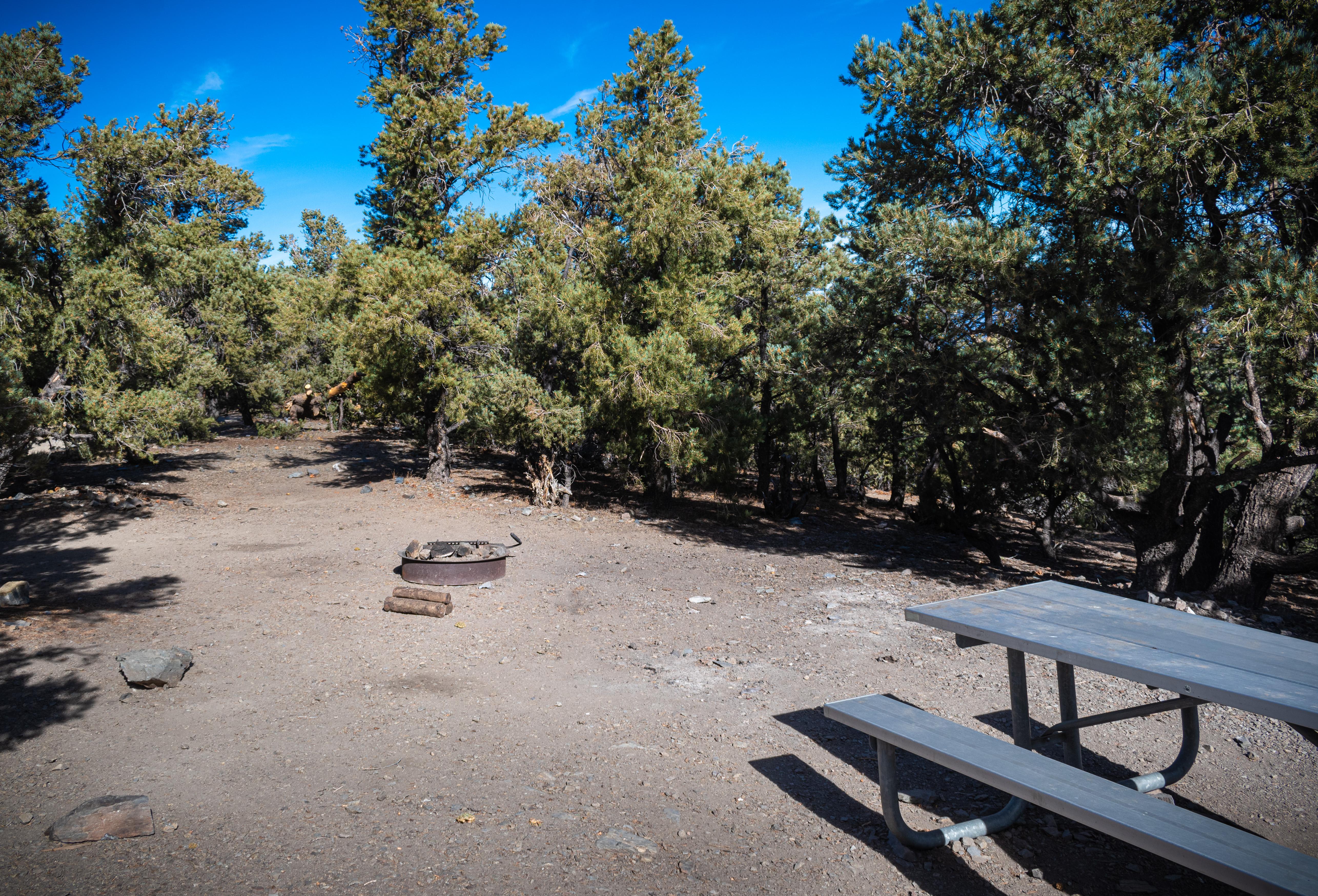 Dirt open area with scattered 1 ft boulders, metal picnic table, metal fire ring, & Evergreen trees.