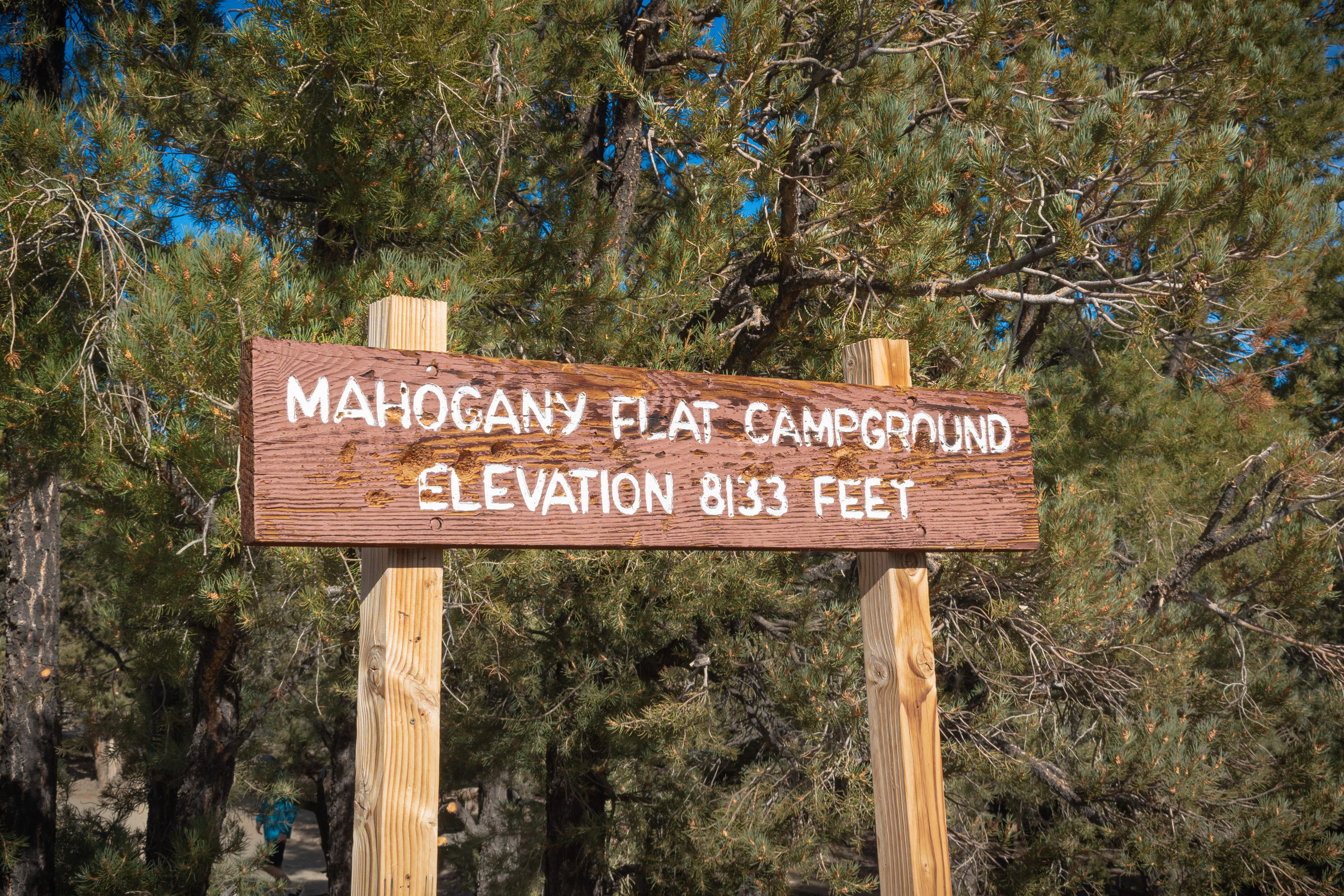 Mahogany Flat Campground (Primitive)