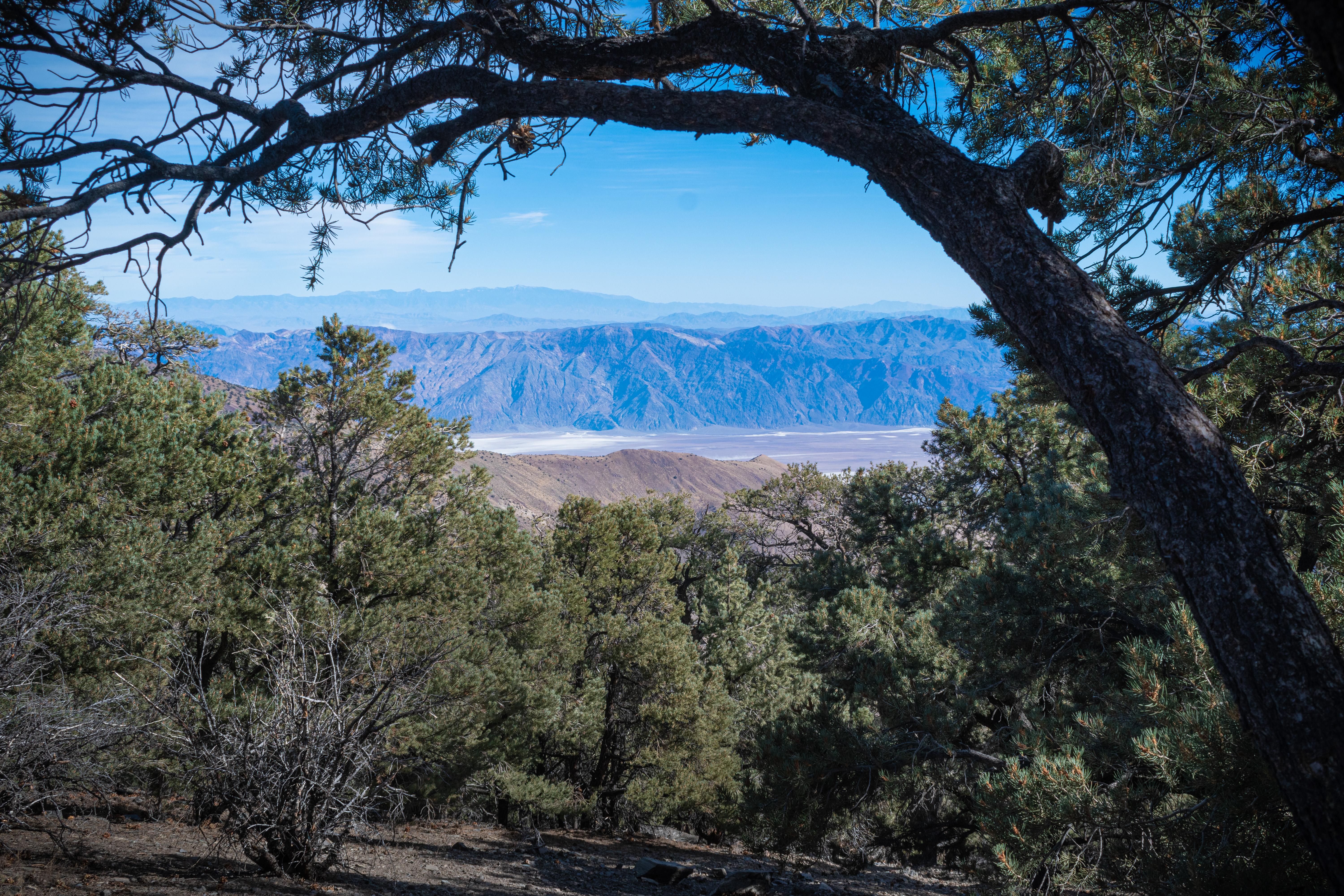 Flat clear area slopes down to dense trees then white-floored desert valley & blue-tinged mountains.