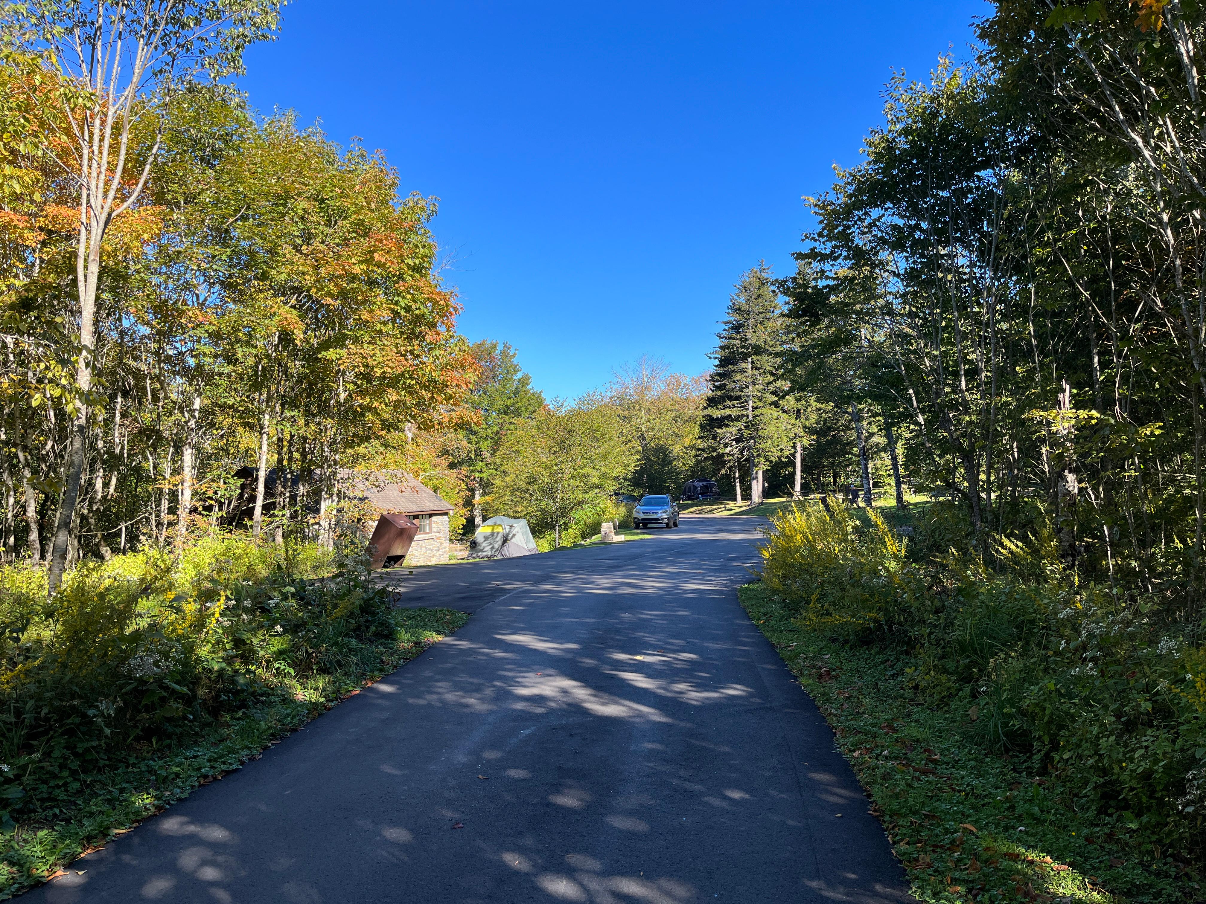 A paved road lined by grass, shrubs, and trees. A car, trash can, and restroom are in the distance.