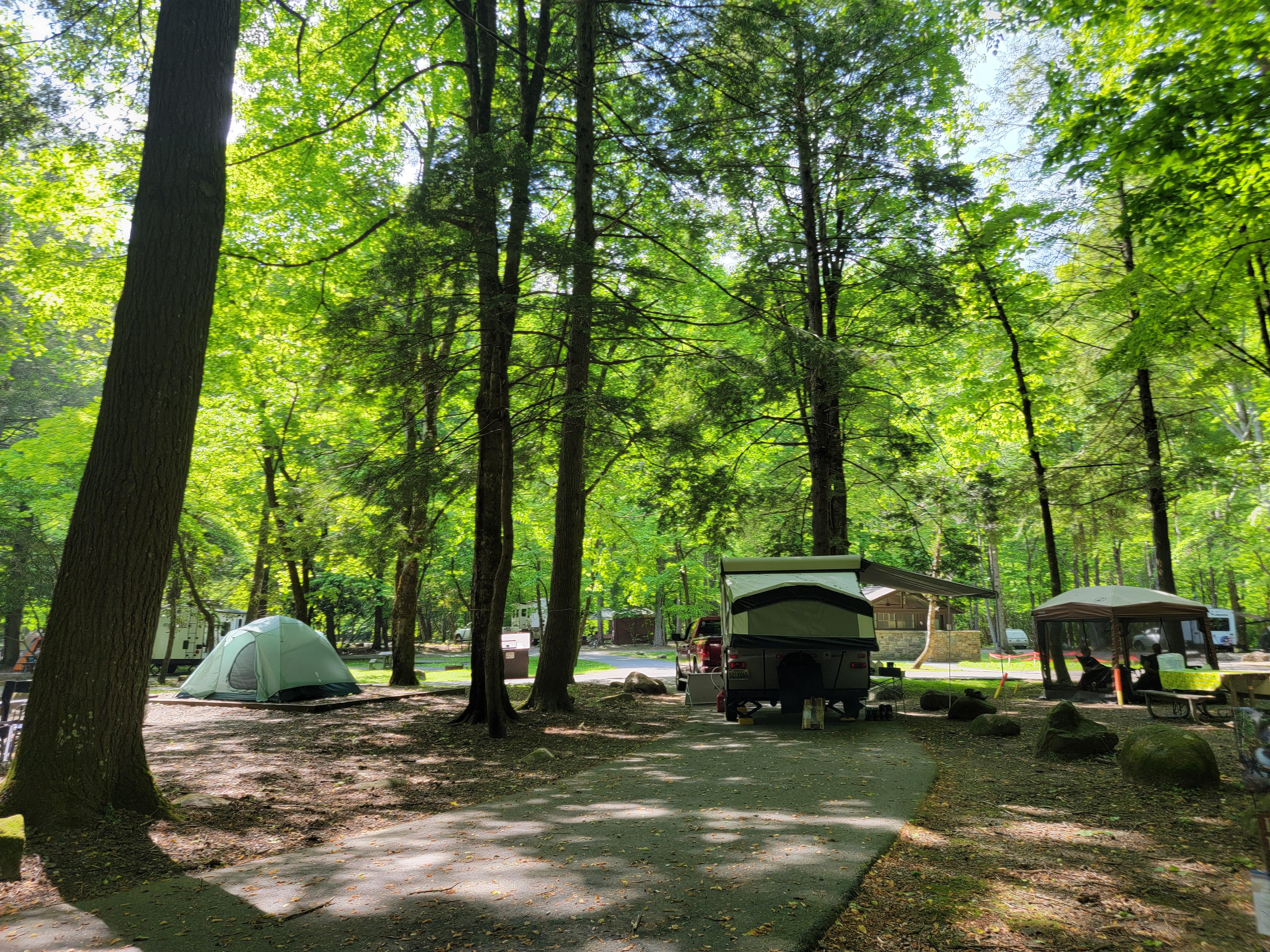 A tent and pop up trailer in sites beside each other under green trees near a dumpster and bathroom.