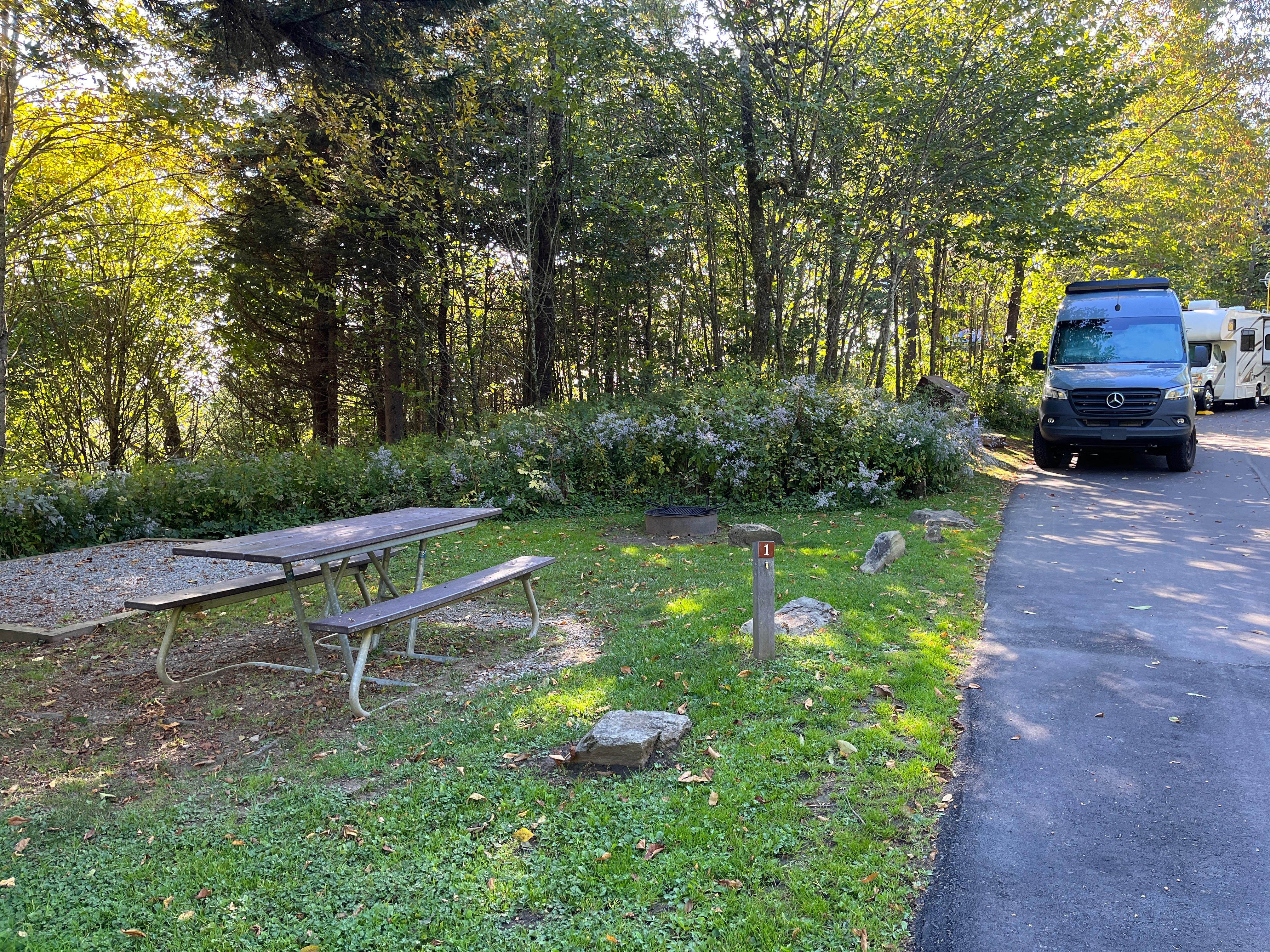 A picnic table, fire ring, and tent pad beside a paved road with RVs visible in the background.