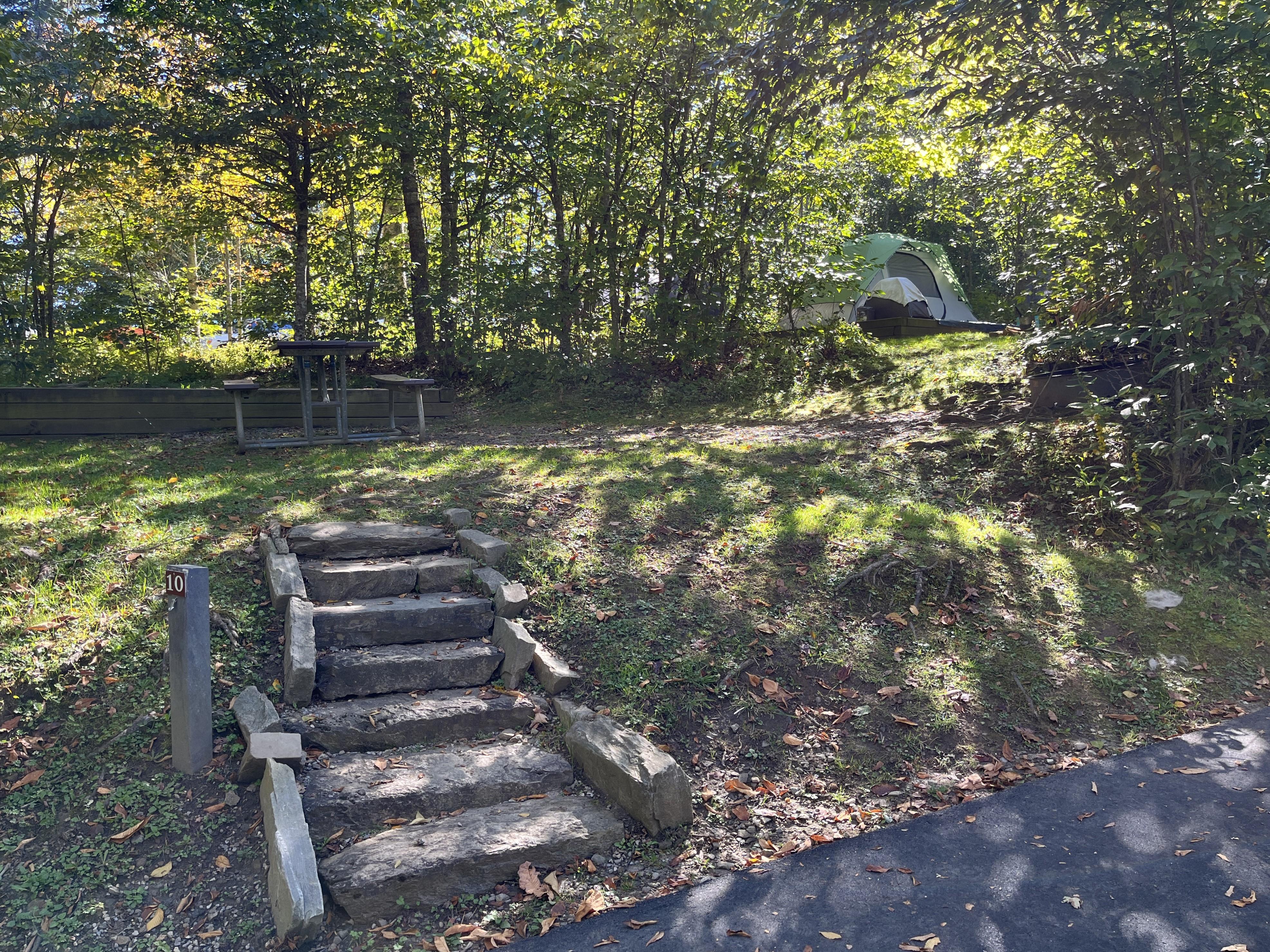 Stairs lead up a slight slope to a picnic table, tent pad, and fire ring surrounded by trees.