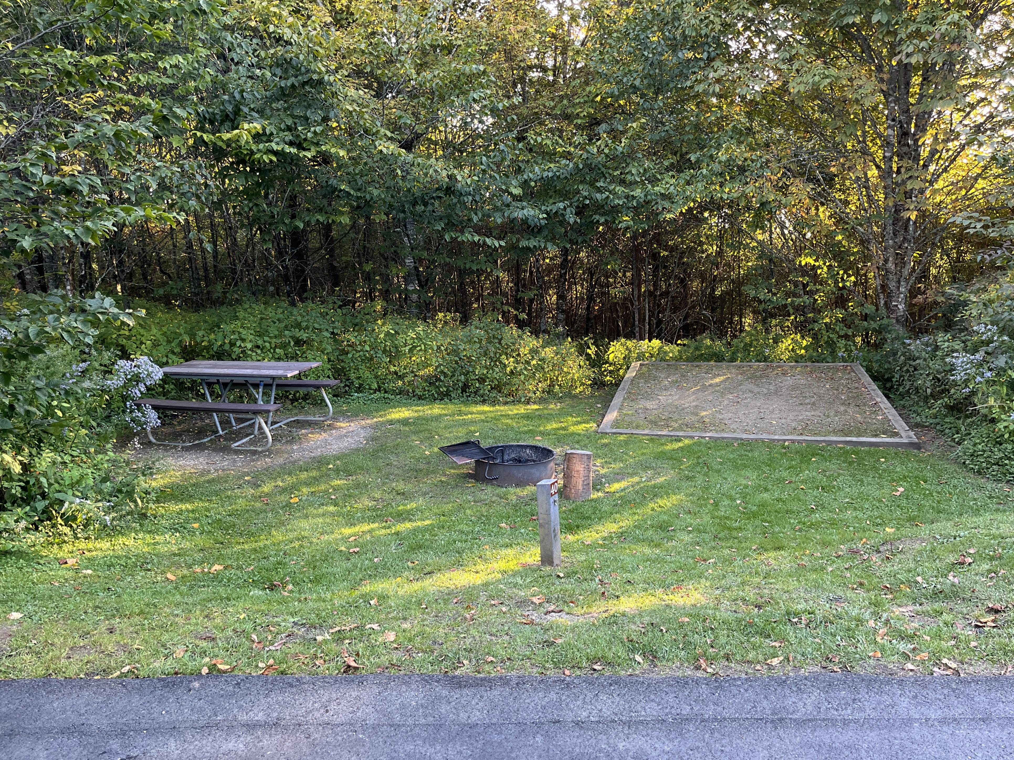 A picnic table, fire ring, and tent pad with grass in the foreground and trees in the background.