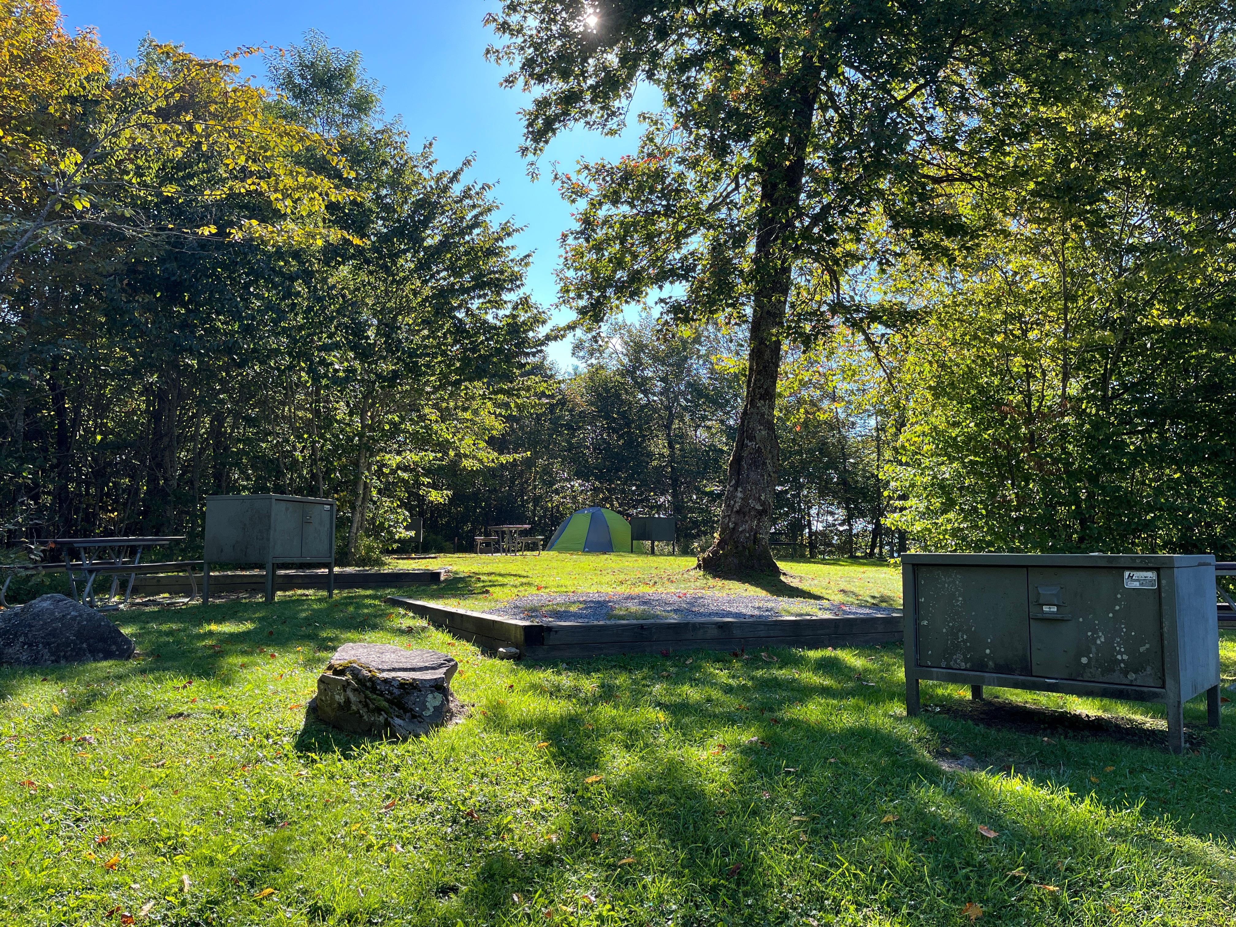 Two bear boxes, a tent, picnic tables, and multiple tent pads surrounded by trees and grass.