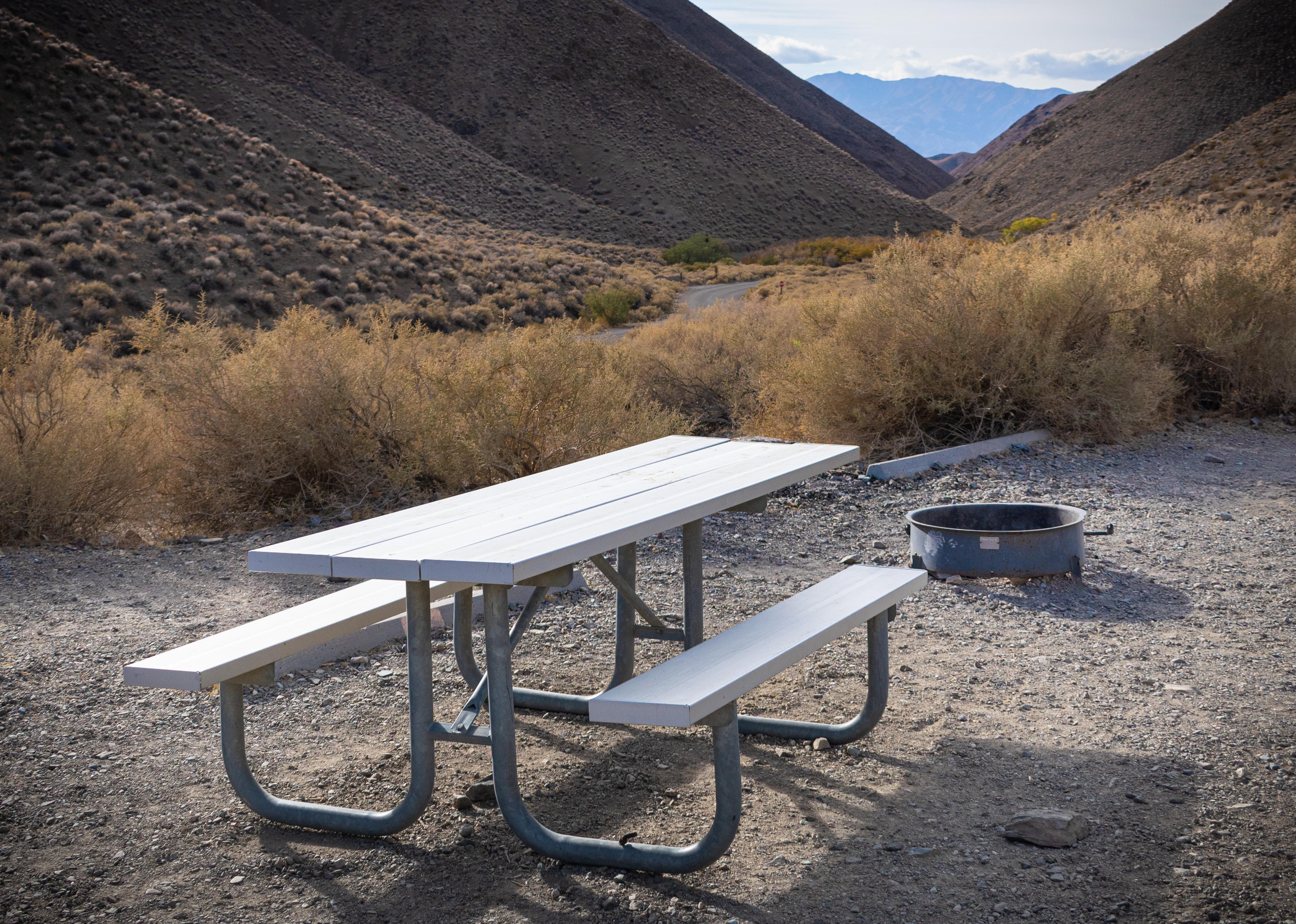 Metal picnic table & metal fire ring on flat dirt clearing lined in the back by small dried bushes.