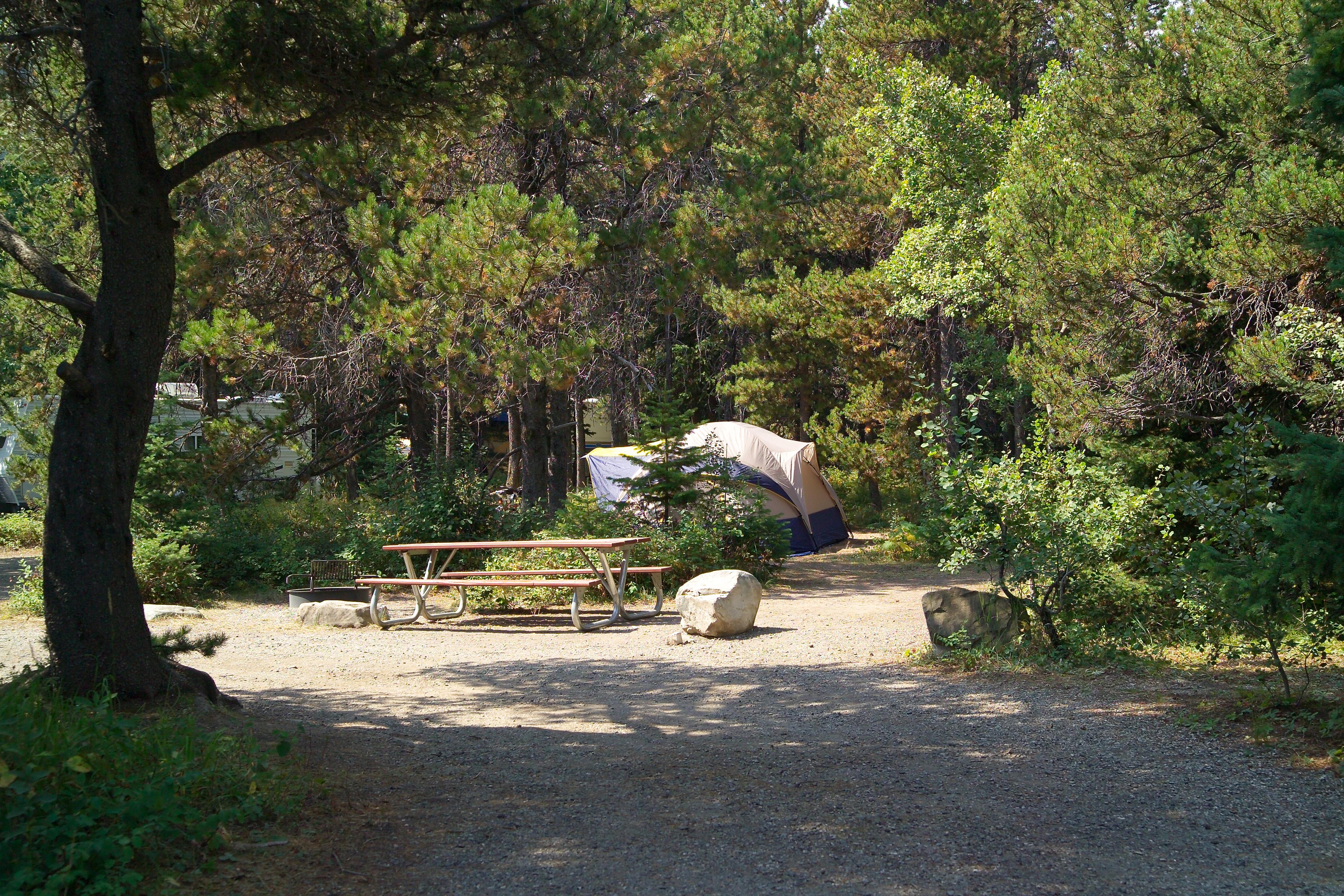 a tent, picnic table, and fire ring on gravel in clearing, RV in background