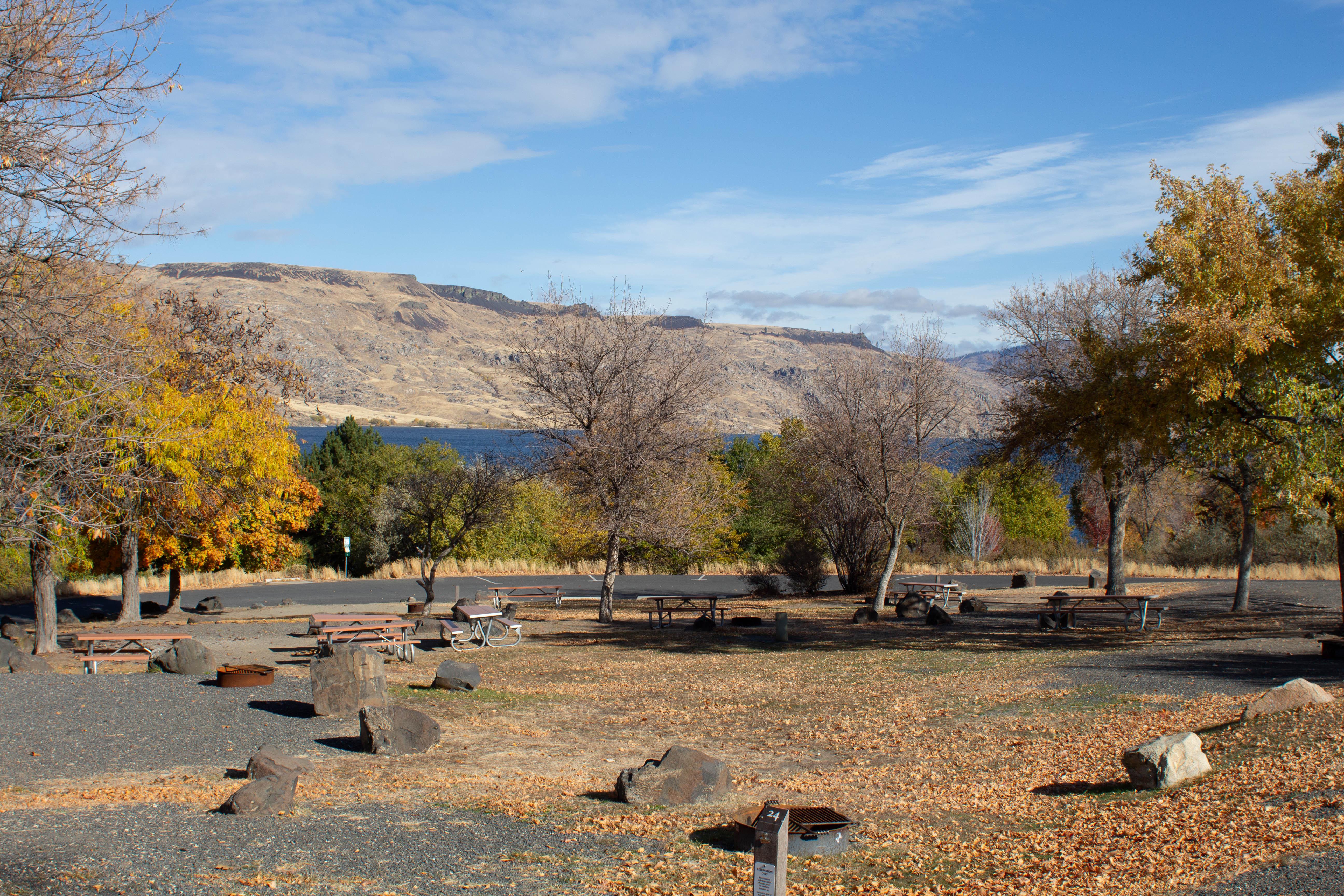 Scattered campsites are surrounded by fallen golden leaves.