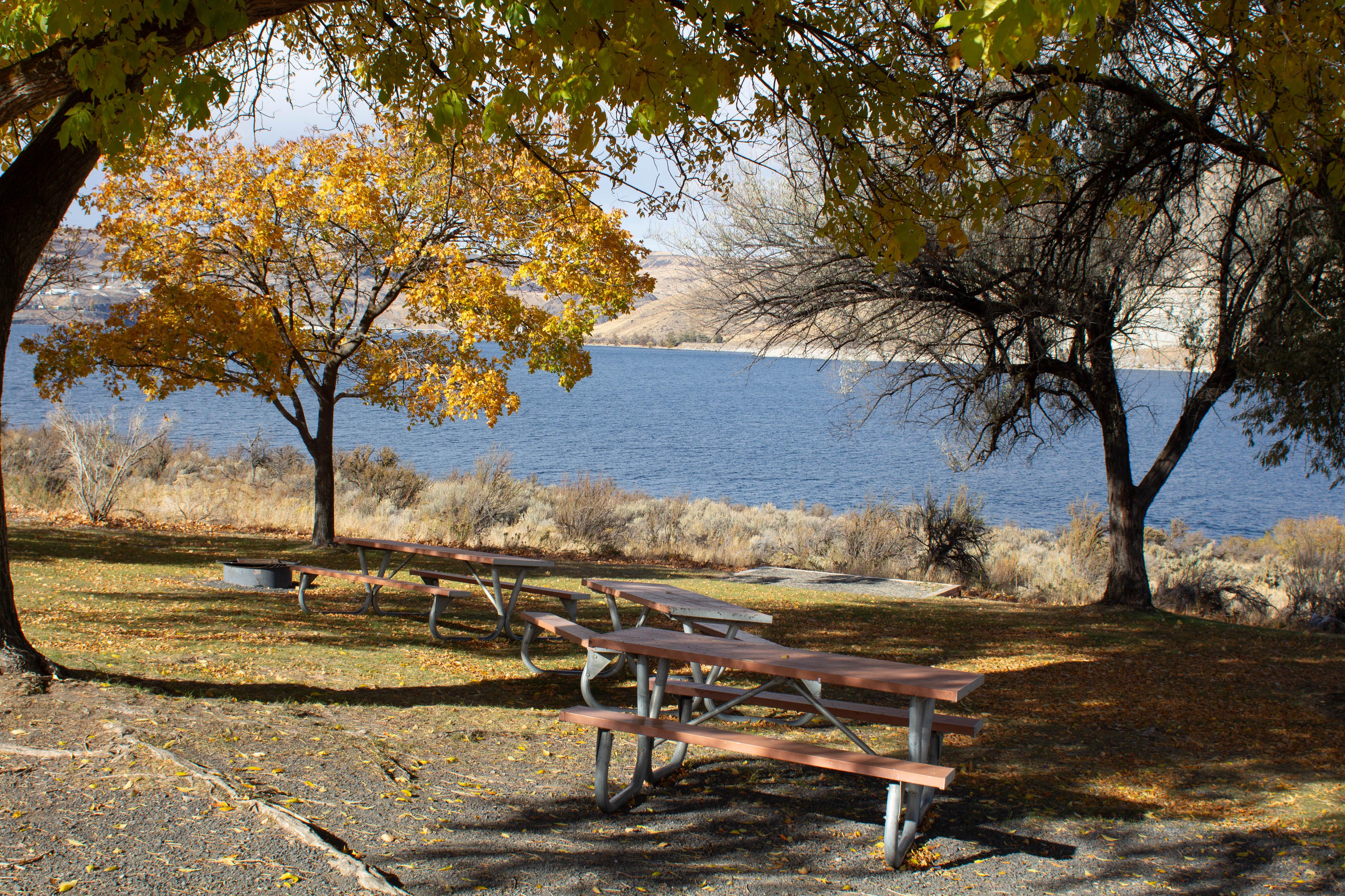 Spring Canyon Group Sites