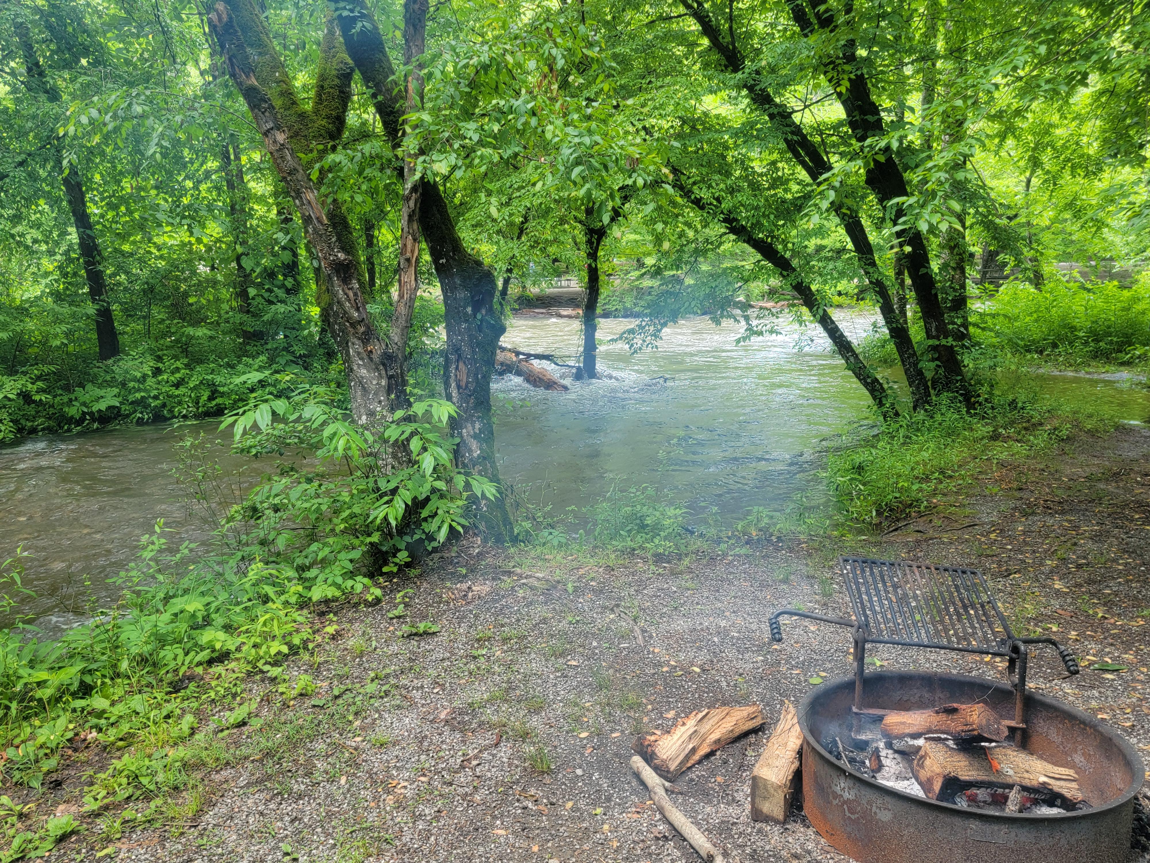 Beside a flowing creek, wood sits inside and next to a metal fire ring with a mobile grate afixed.