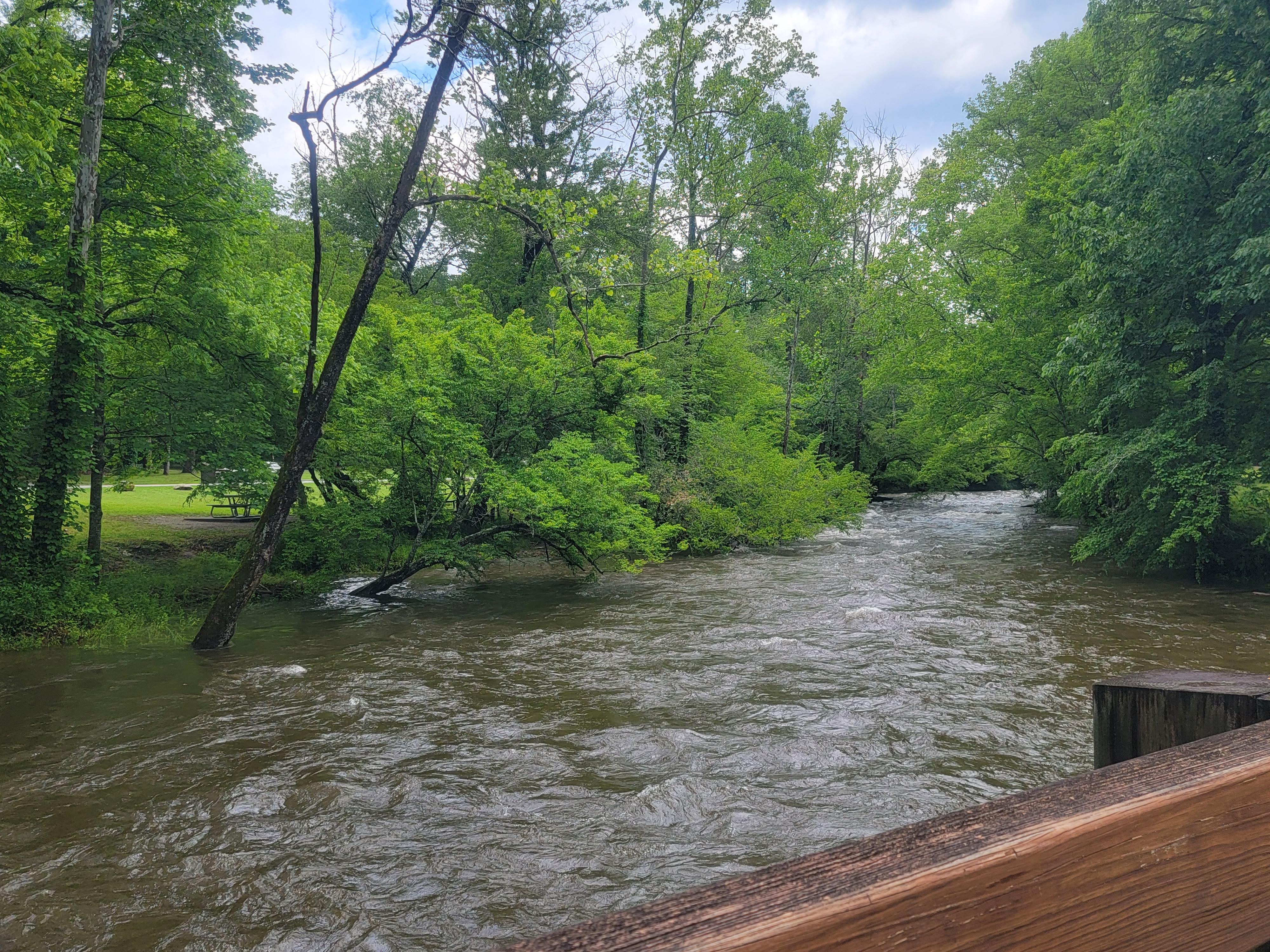 A flowing river from the vantage point of a bridge. The body of water is lined with green trees.