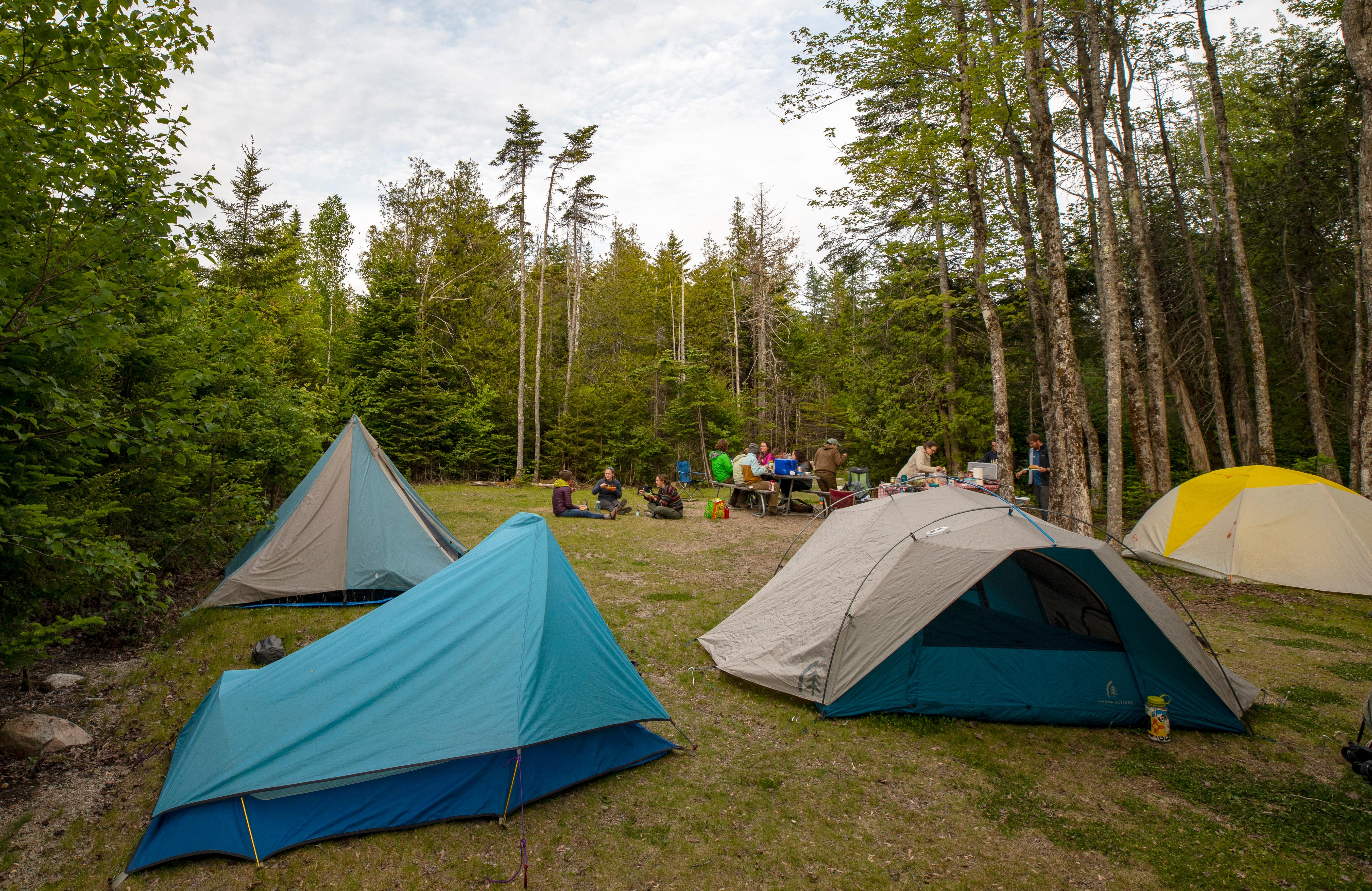 A grassy clearing with four tents and people gathered around picnic tables in the background