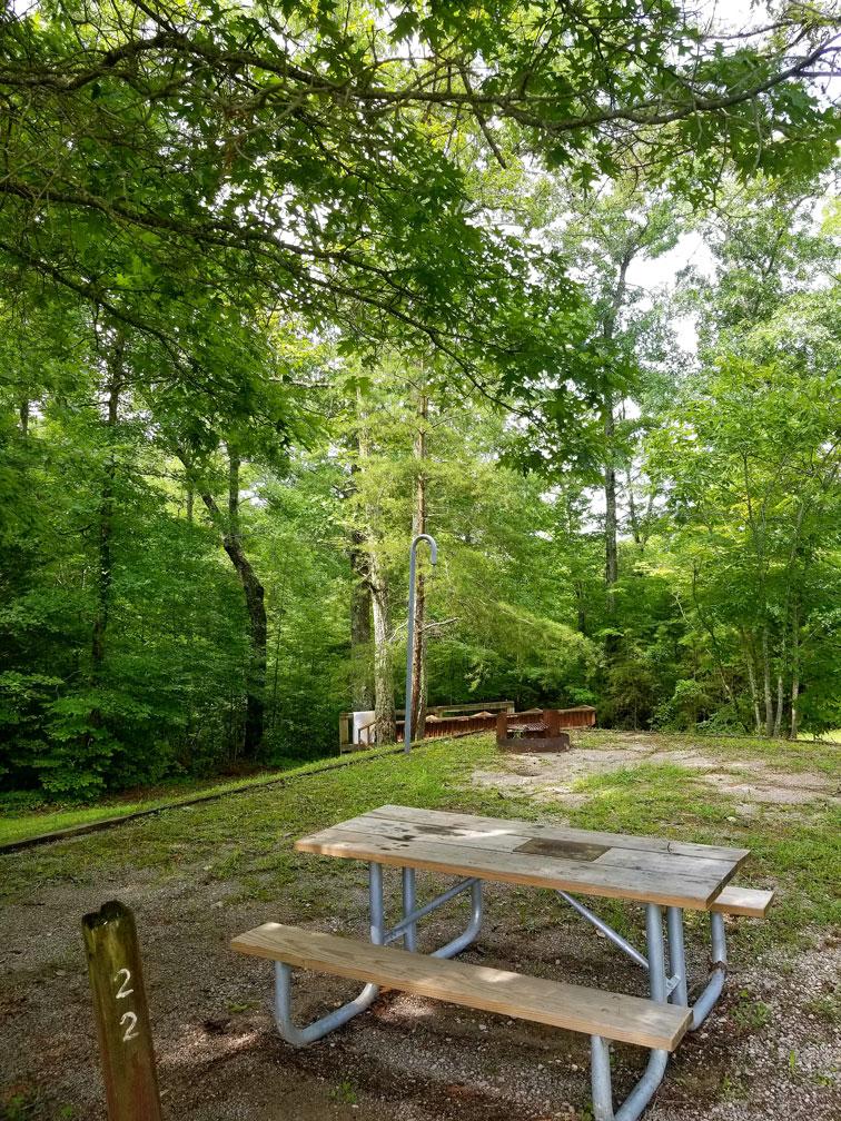 A picnic table sits under a tree next to a campsite pad.