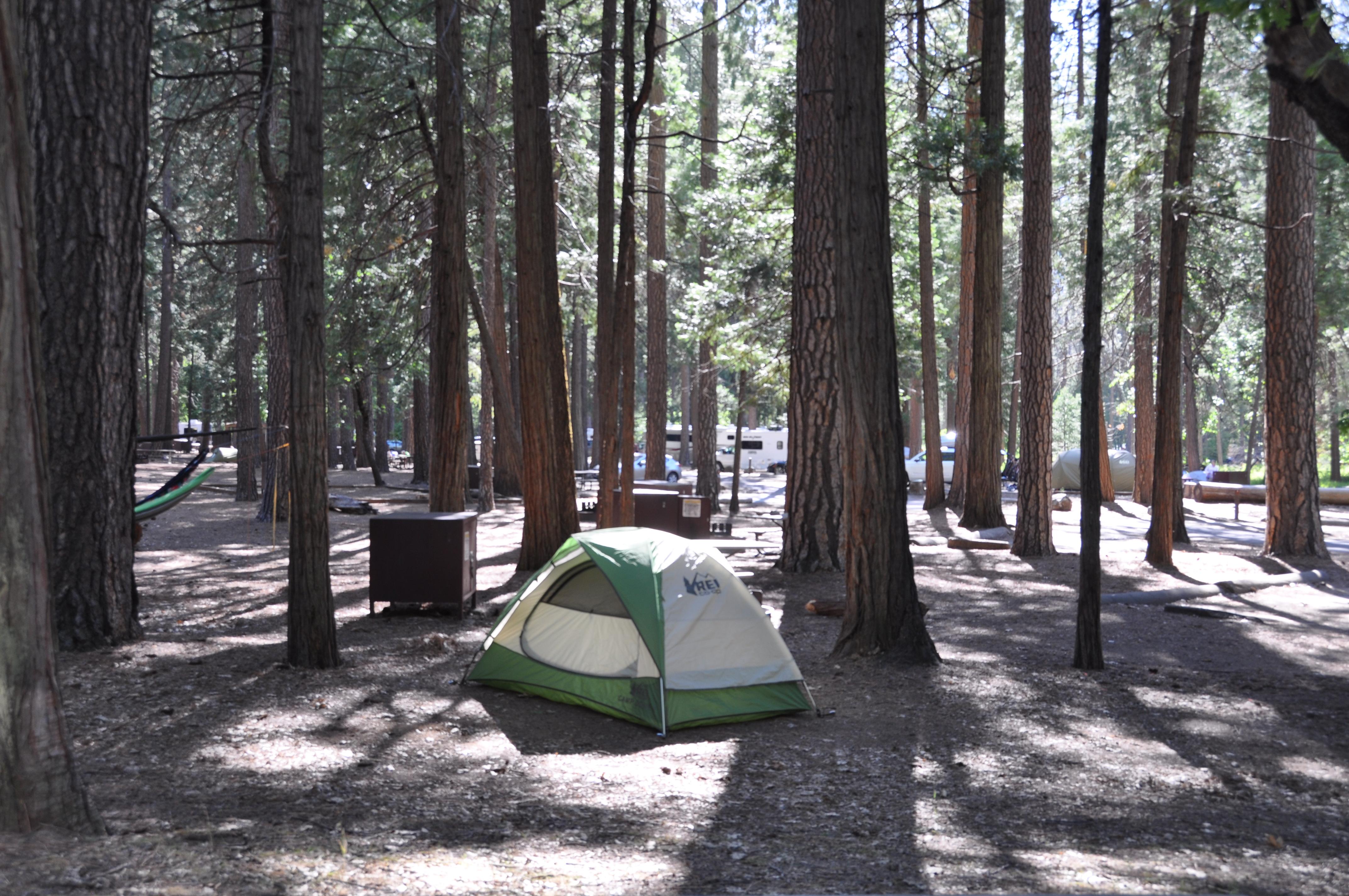 Tent in campsite in Upper Pines