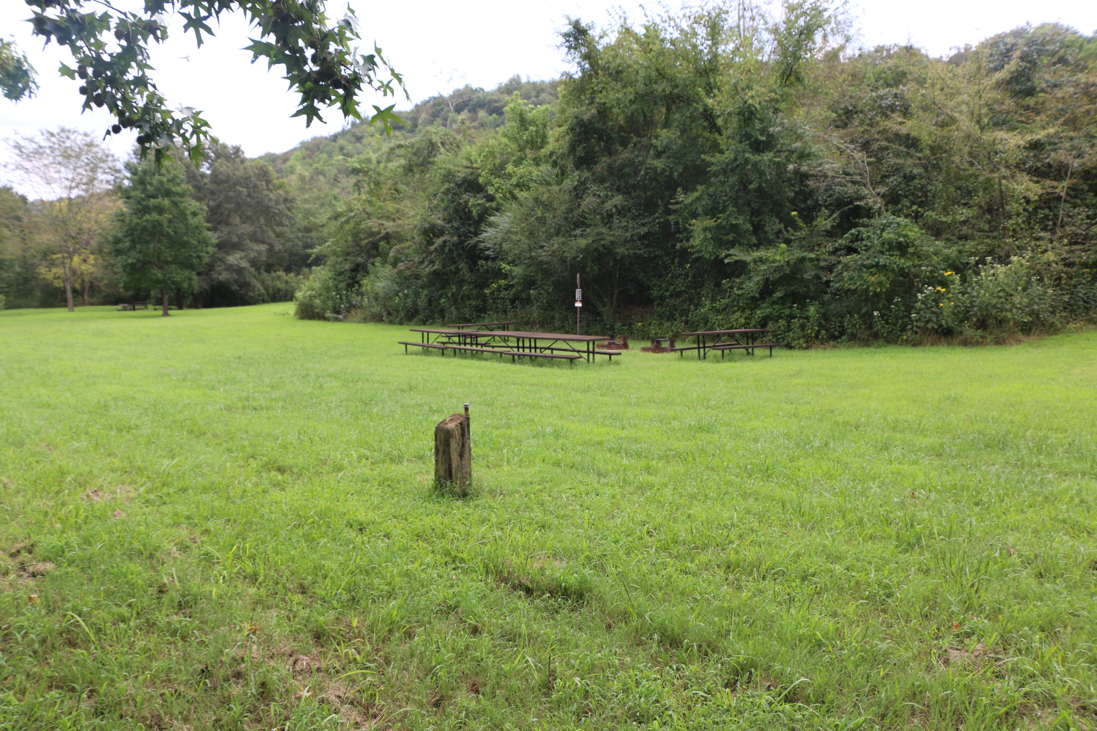 Grassy group site at Erbie Campground with five picnic tables and two fire rings.