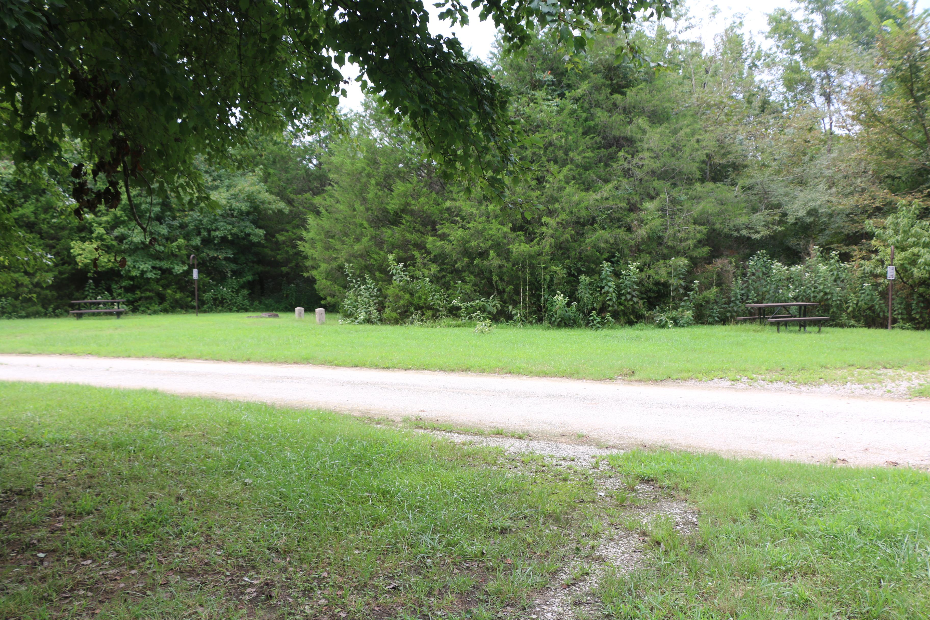 Two camp sites with picnic tables and fire rings against a line of trees.