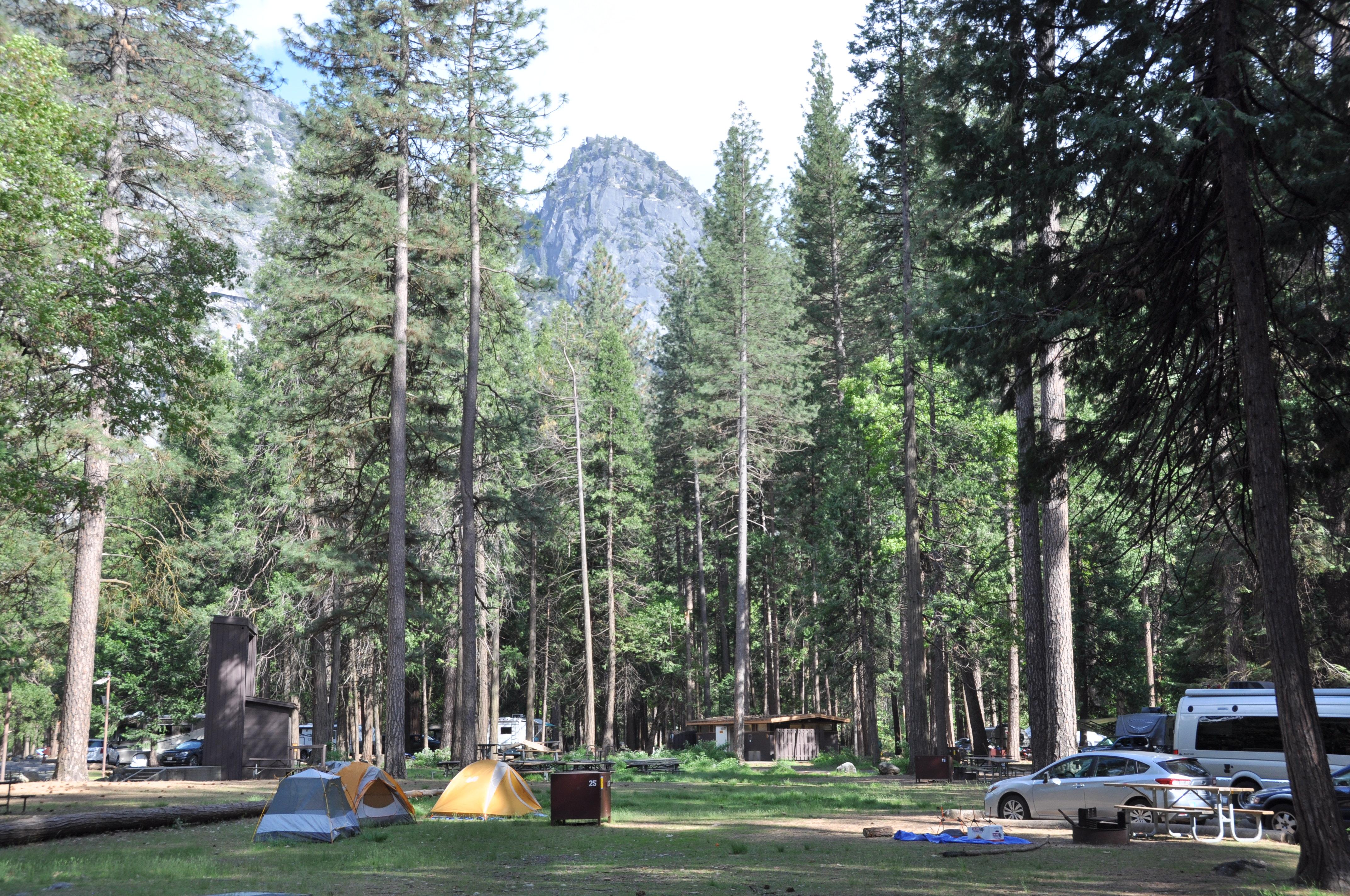 Campsites with tents and cars in Lower Pines