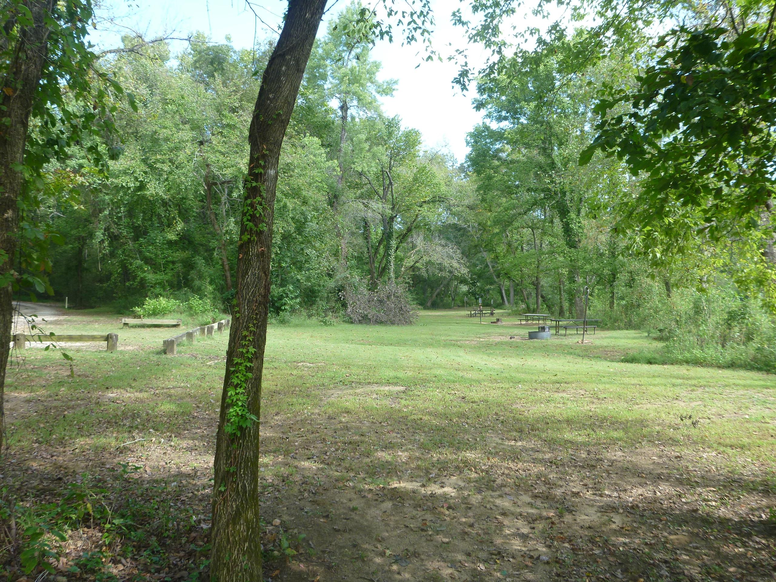 Four tent campsites in a row with shade trees surrounding them.