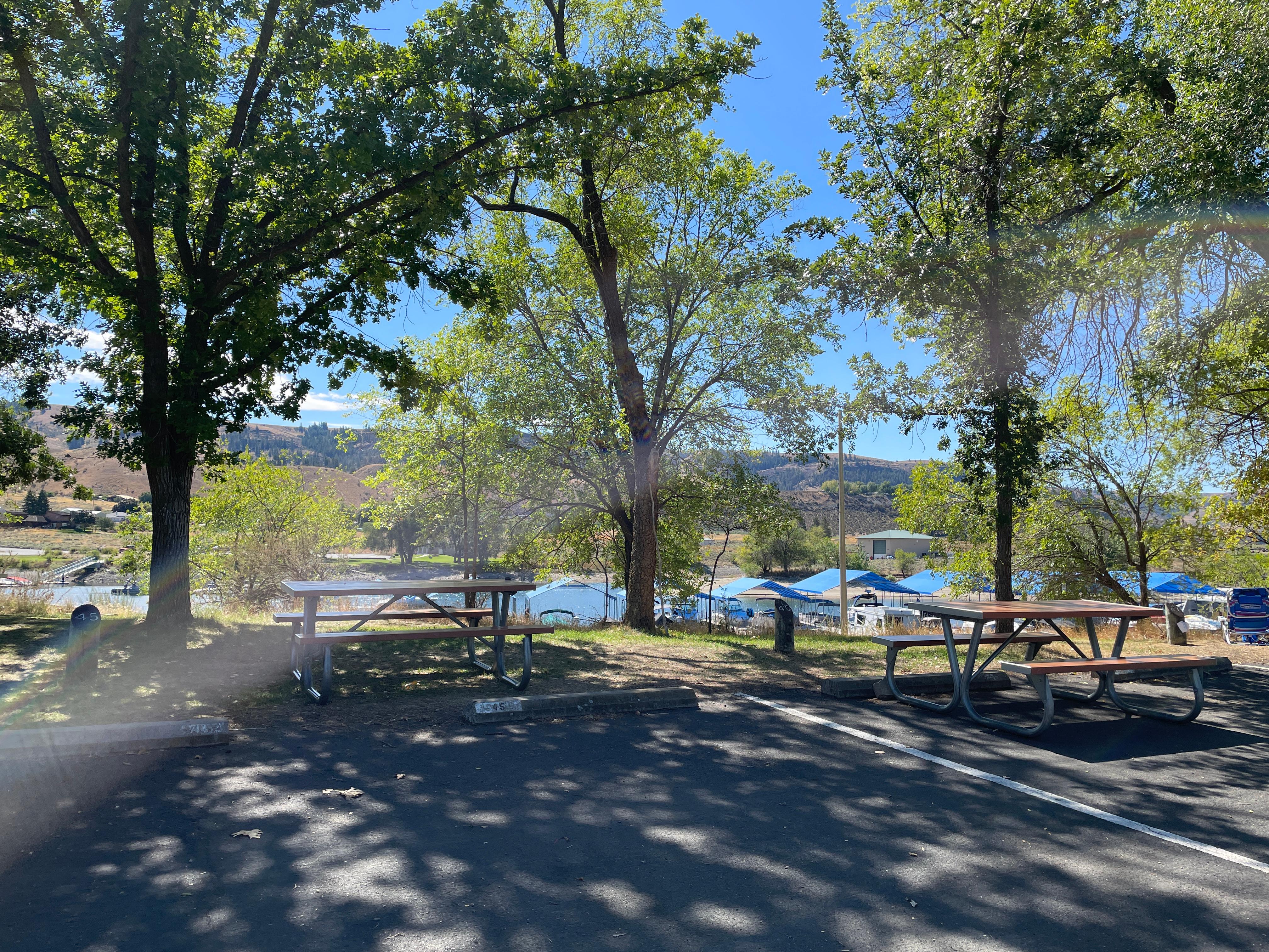 Scattered picnic benches next to parking spots with tall green trees behind.