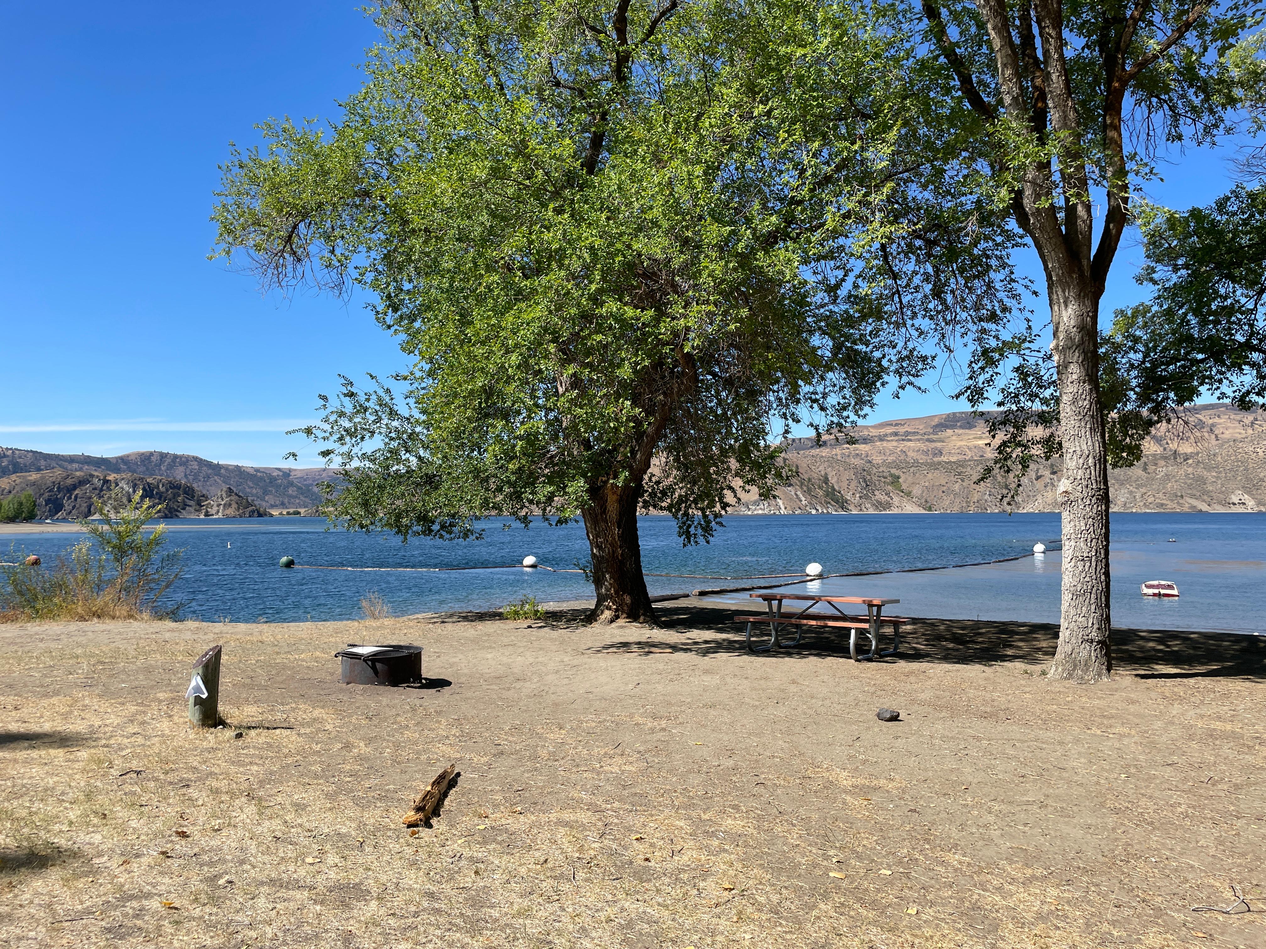 Dirt covered ground has two tall trees and a picnic bench, overlooking the lake.