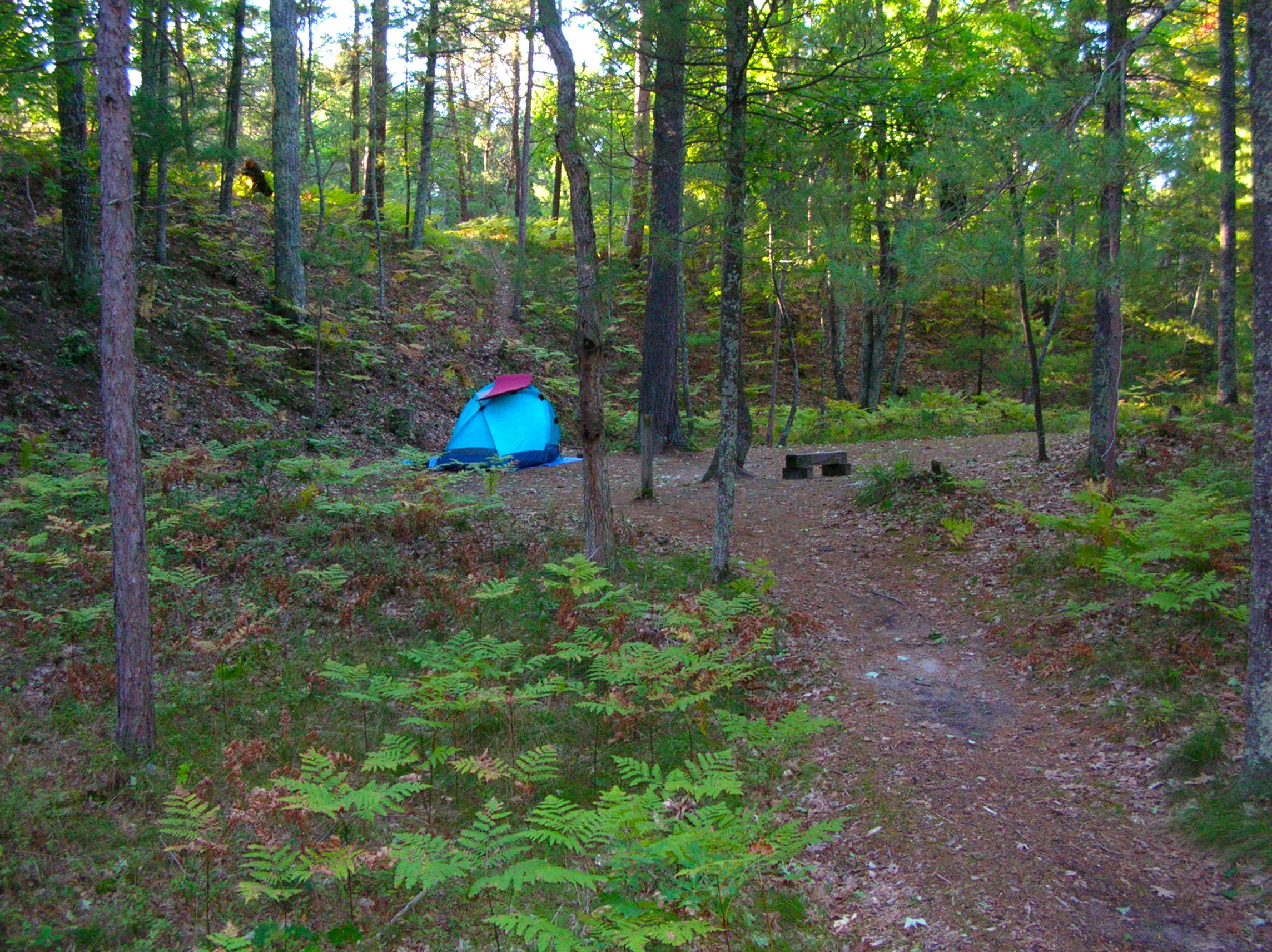 White Pine Backcountry Campground