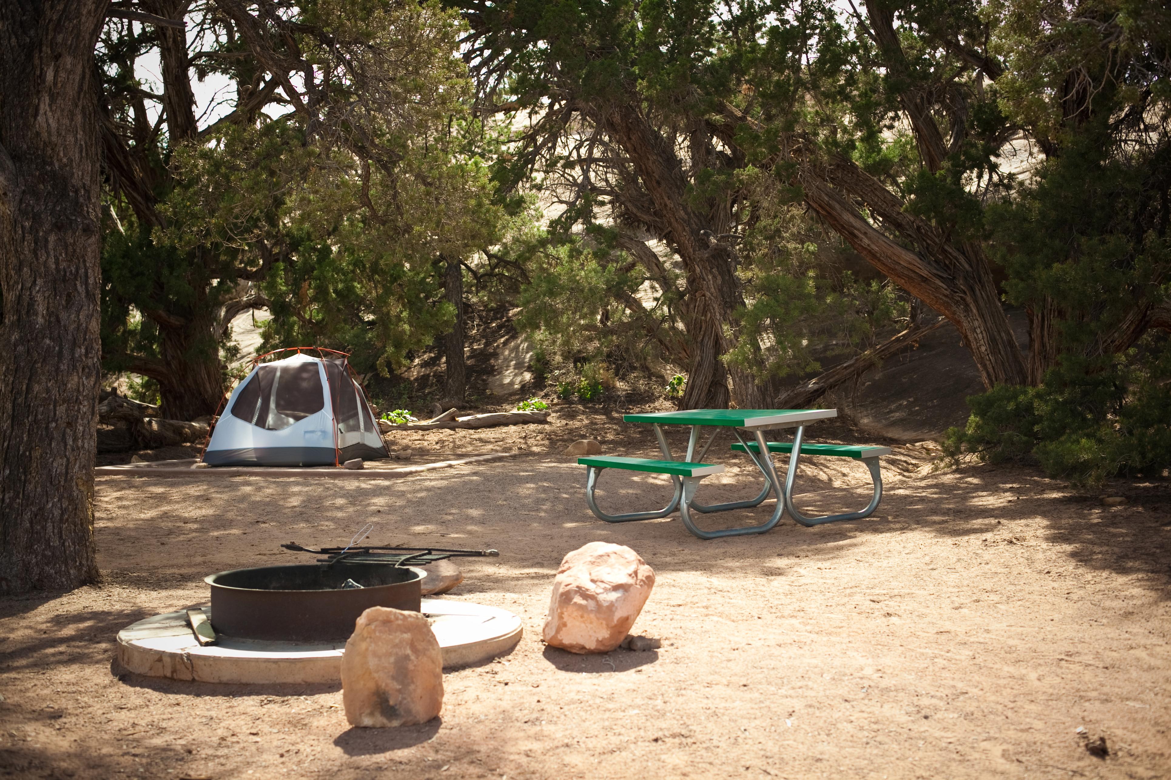 a campsite shaded by trees