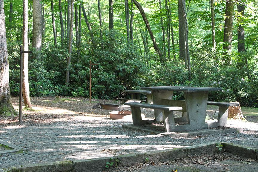A vacant campsite in a forested campground