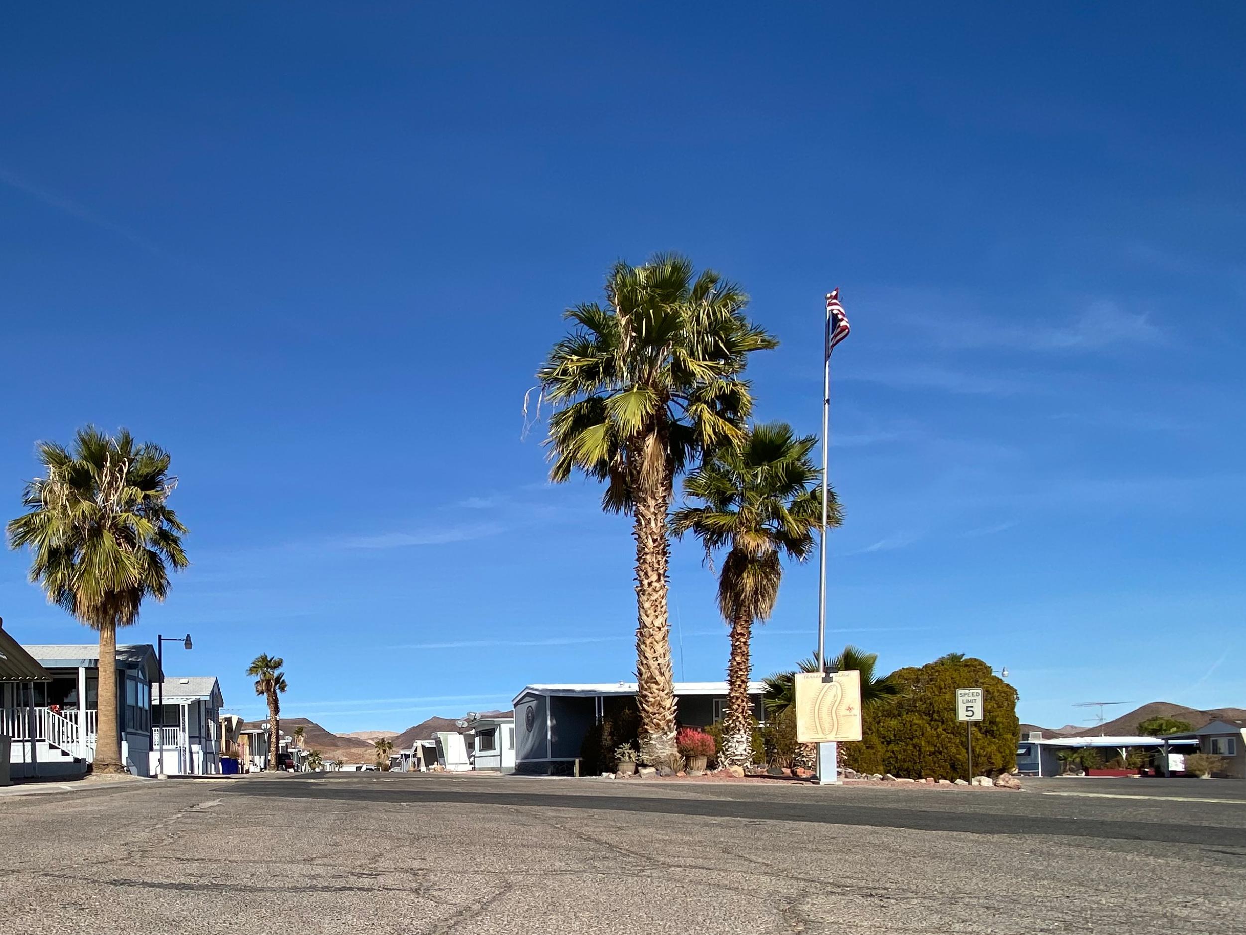 View looking at a palm tree and entrance station
