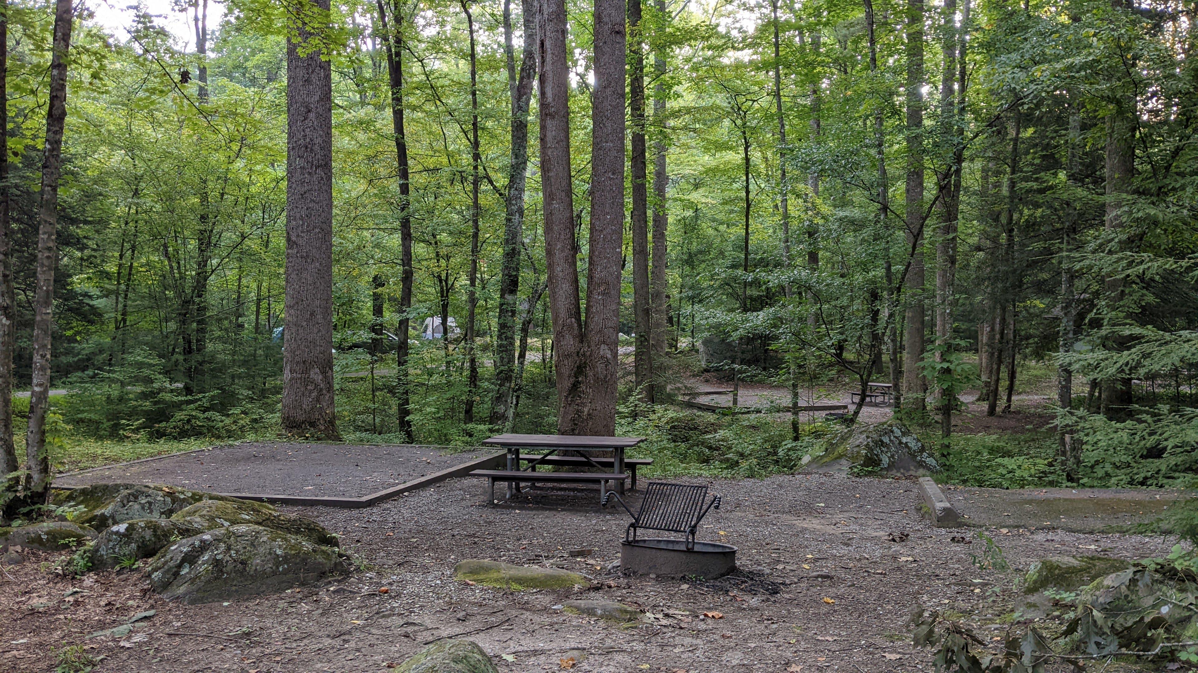 A tent pad, picnic table, and fire ring near rocks, trees, and other sites in the distance.